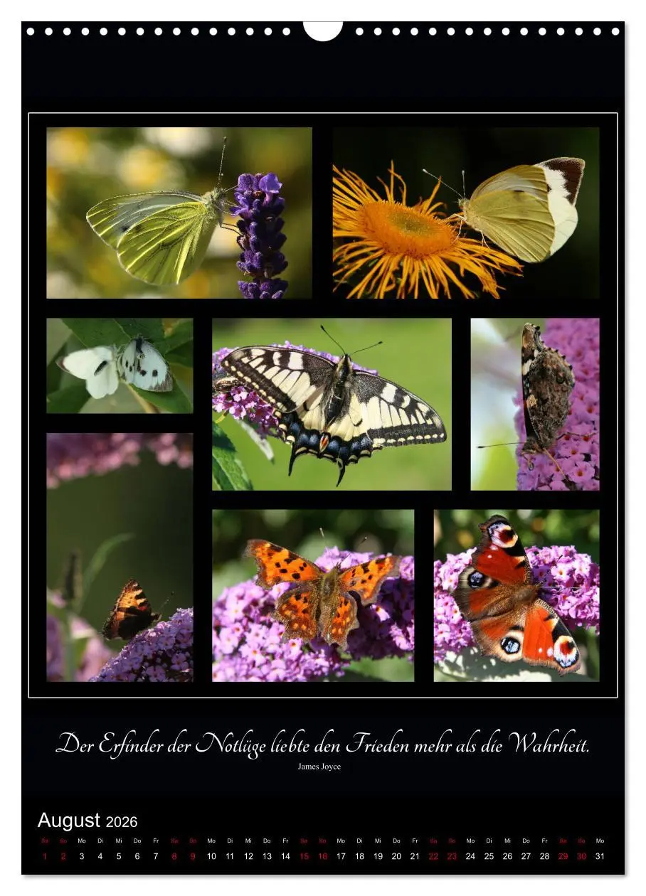 Bild: 9783516399134 | Sprache in Bildern - Collagen aus der Natur (Wandkalender 2026 DIN...