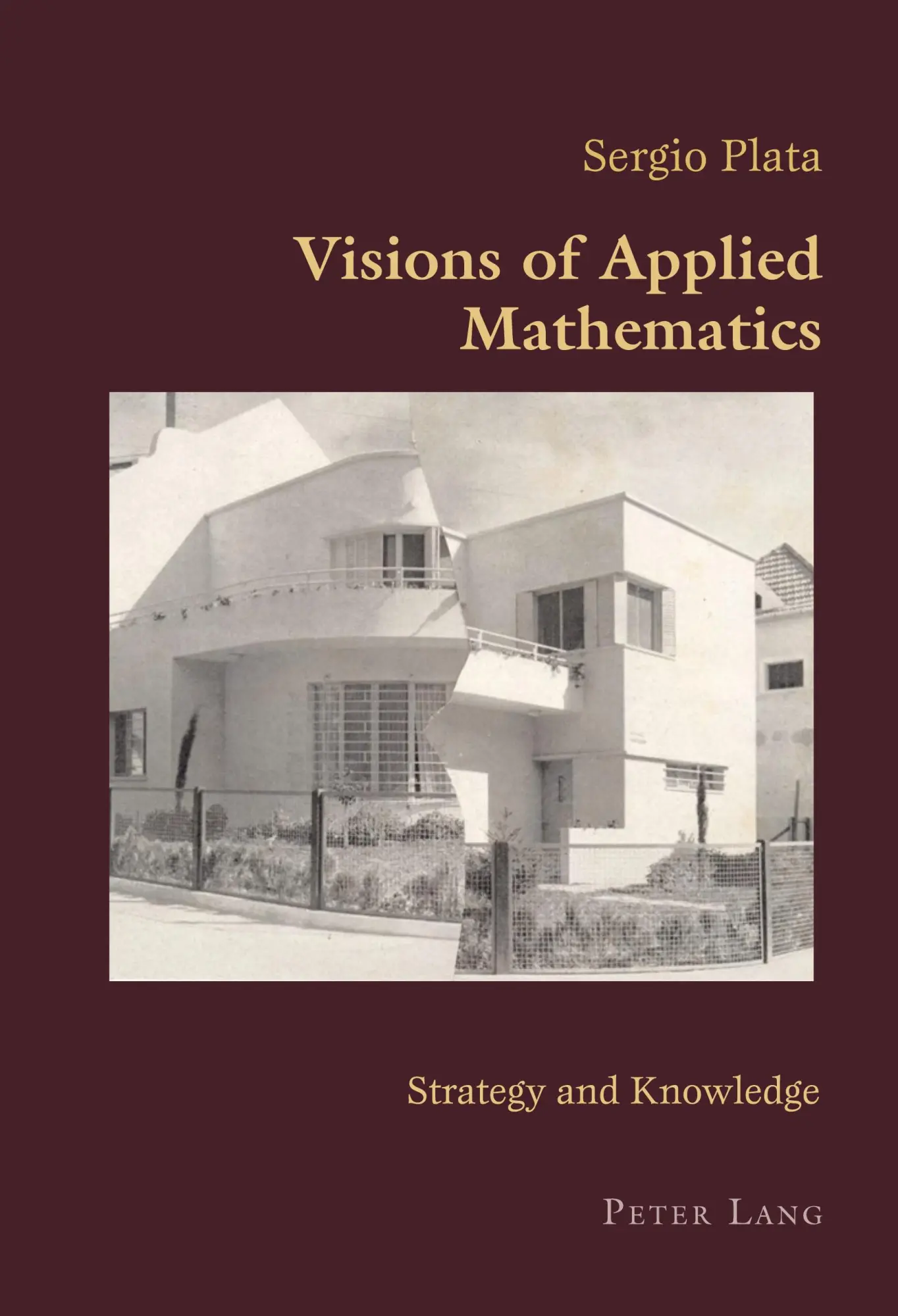 Visions of Applied Mathematics: Strategy and Knowledge (Hispanic Studies: Culture and Ideas)