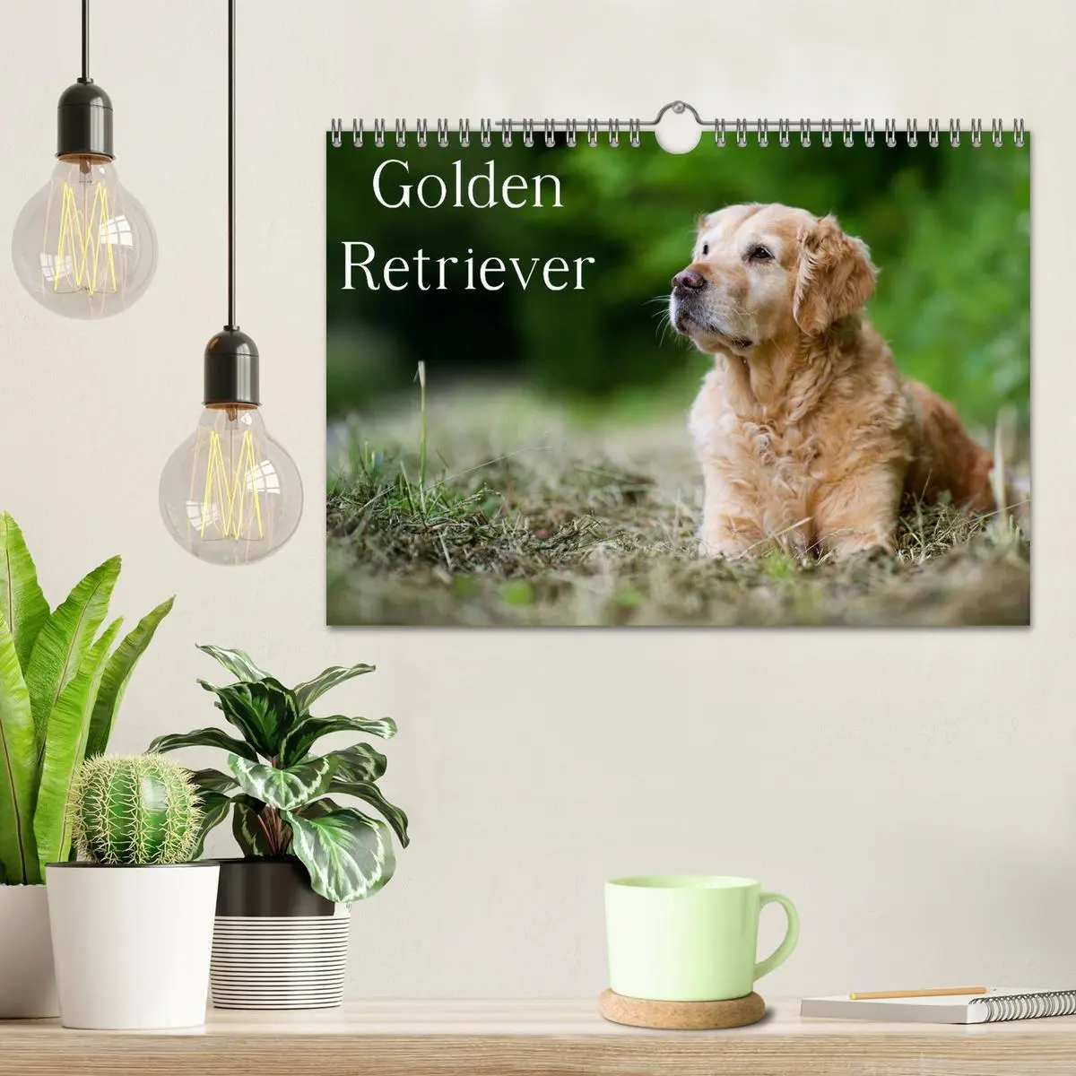 Bild: 9783516149234 | Golden Retriever (Wandkalender 2026 DIN A4 quer), CALVENDO...