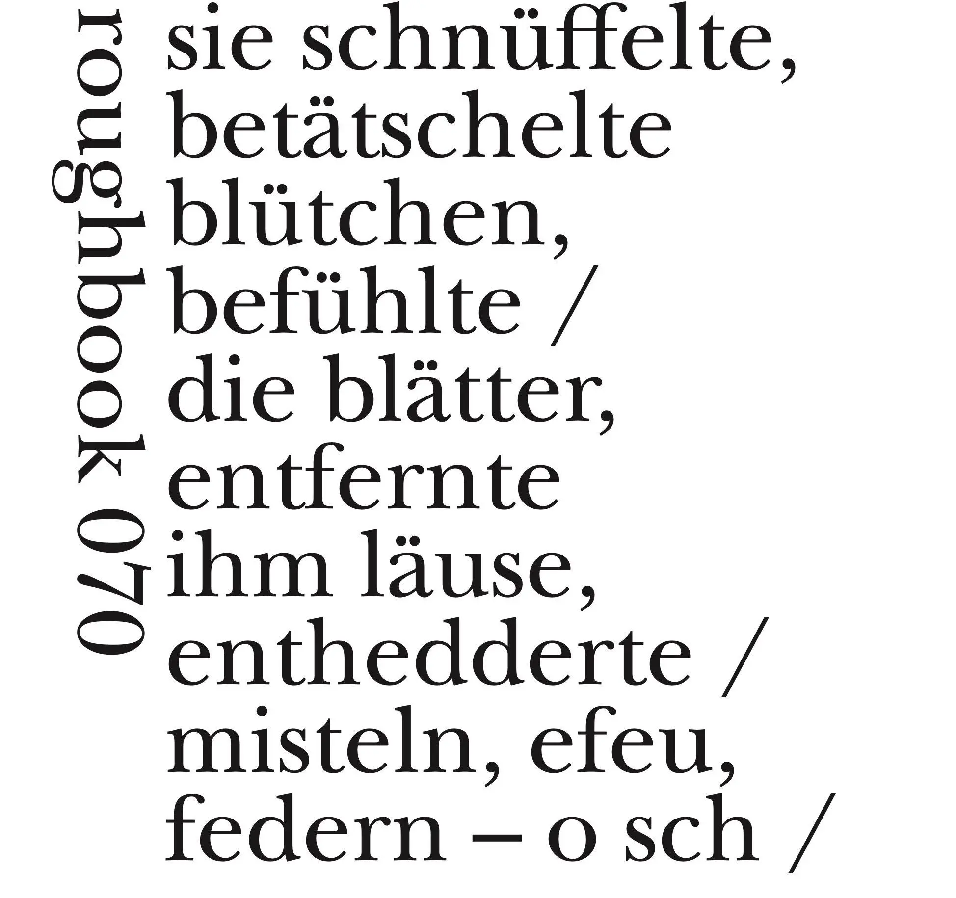 Cover: 9783907369234 | wille zur mache | Dagmara Kraus | Taschenbuch | roughbooks | 64 S.