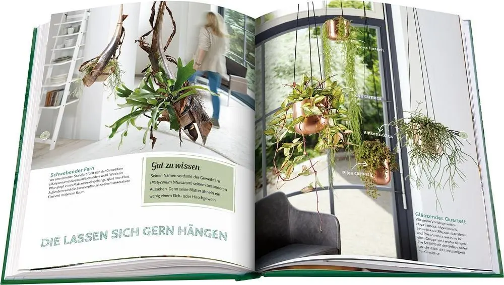 Bild: 9783945429334 | Pflanzen ganz privat | Julia Bramhoff | Buch | 128 S. | Deutsch | 2019