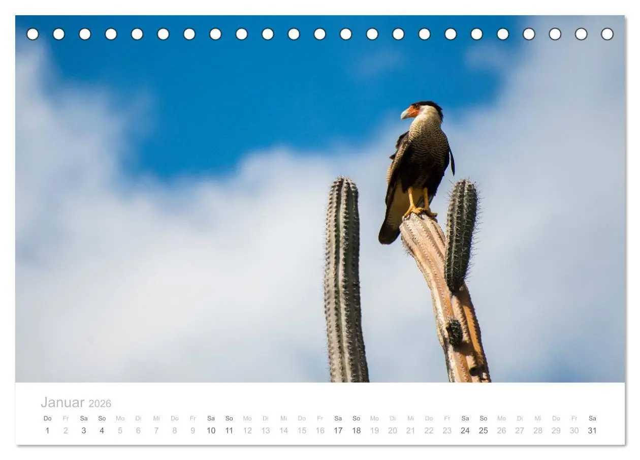 Bild: 9783457969434 | Trauminsel Curaçao (Tischkalender 2026 DIN A5 quer), CALVENDO...