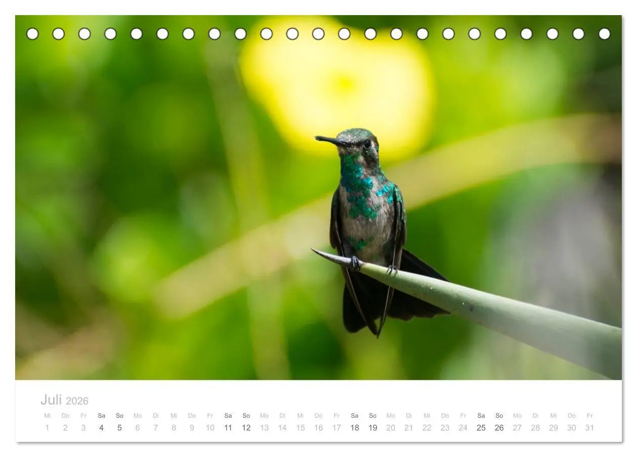 Bild: 9783457969434 | Trauminsel Curaçao (Tischkalender 2026 DIN A5 quer), CALVENDO...