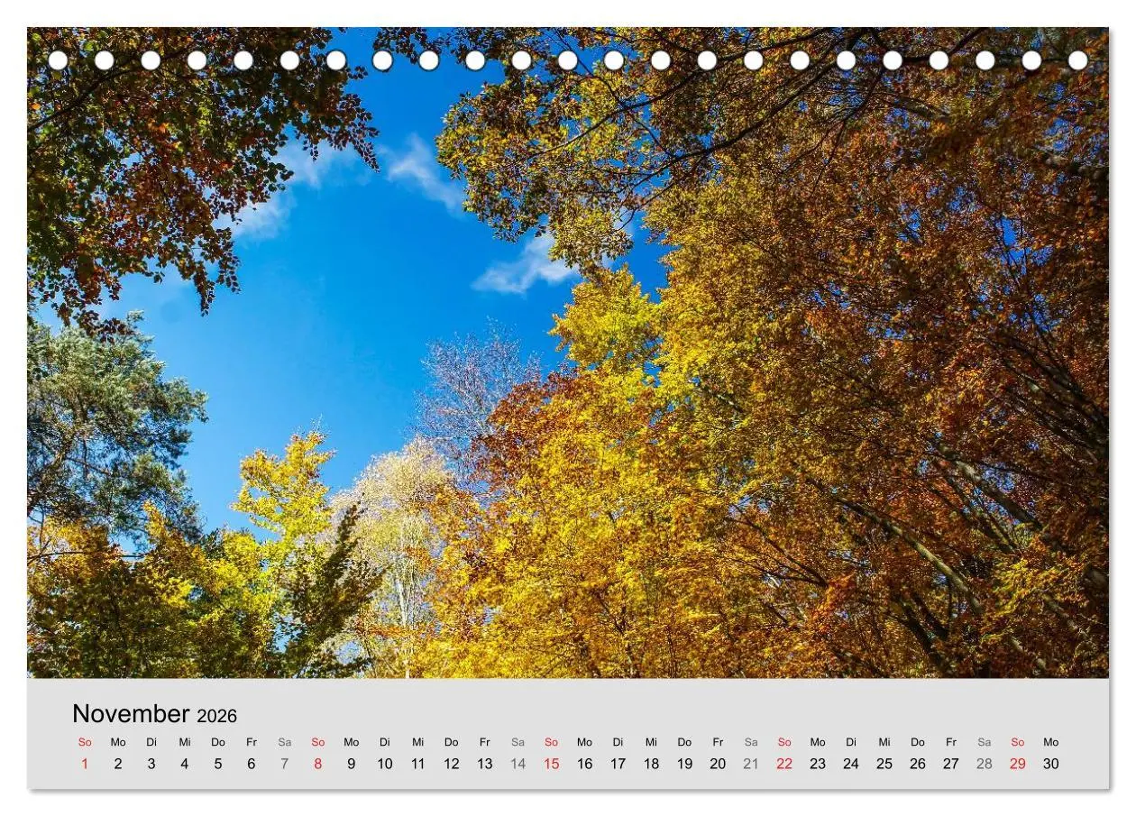 Bild: 9783516059434 | Saarland - unbekannte Schönheit (Tischkalender 2026 DIN A5 quer),...
