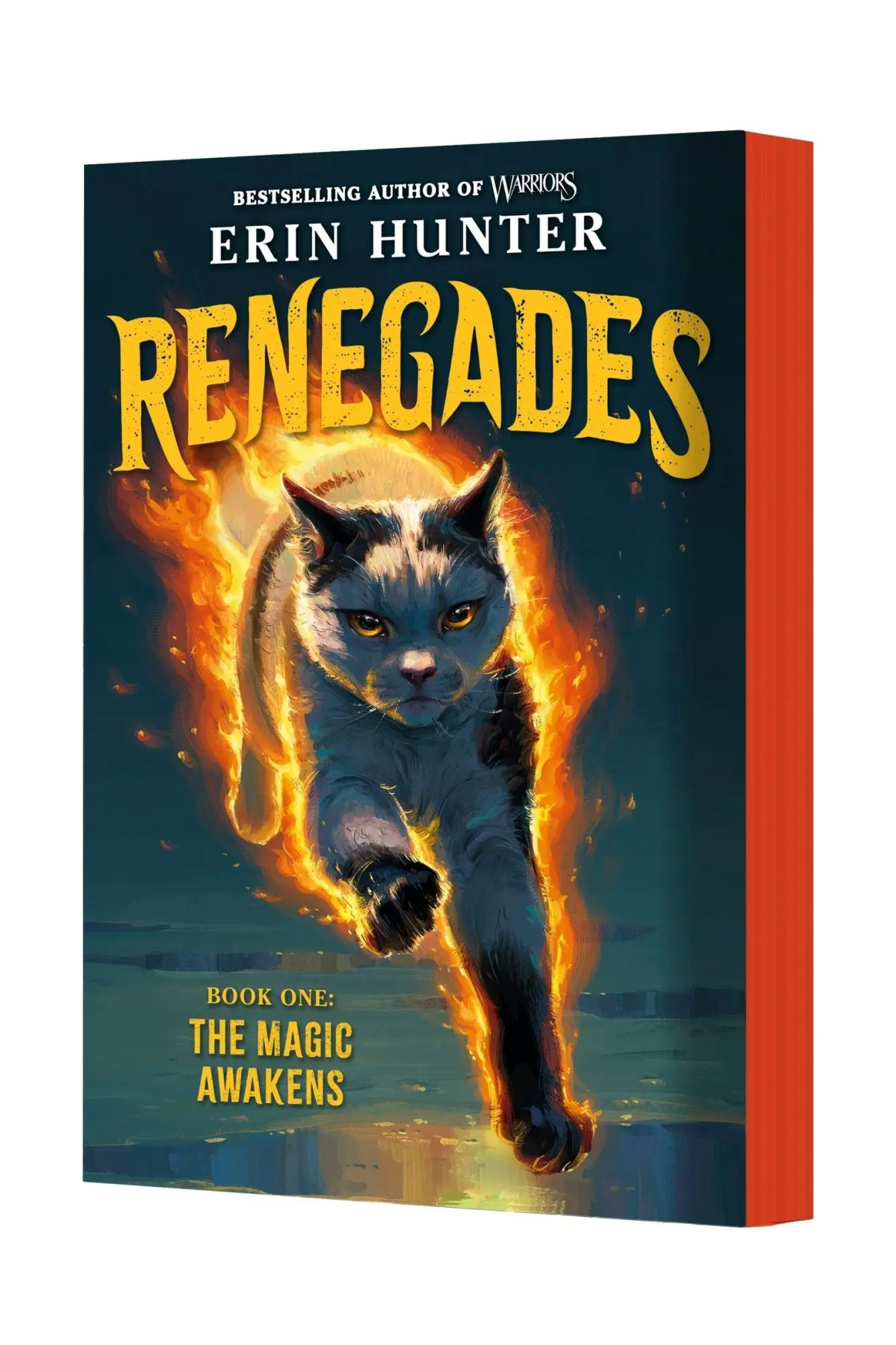 Cover: 9780063449534 | Renegades 01: The Magic Awakens | Erin Hunter | Taschenbuch | Englisch