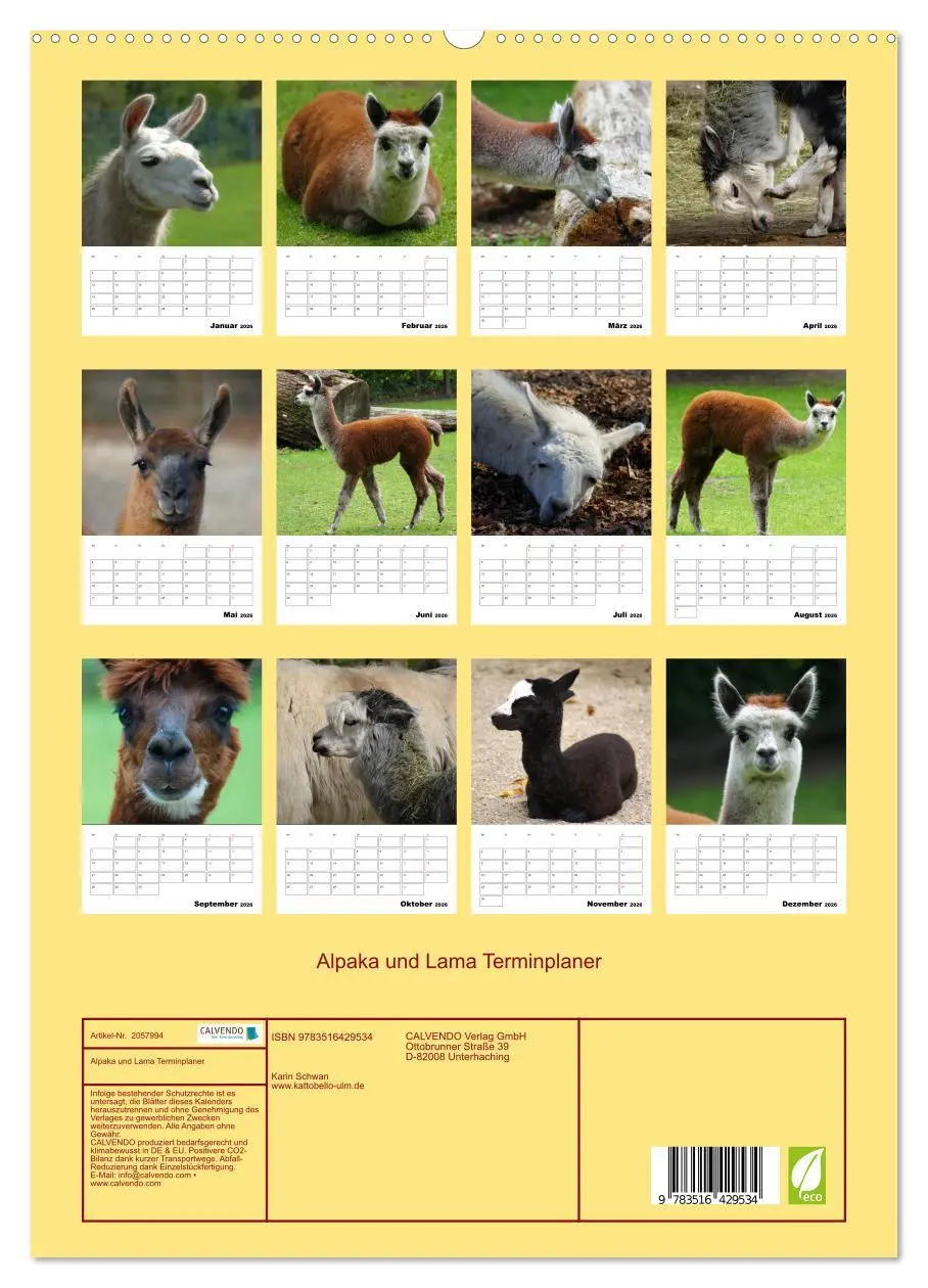 Bild: 9783516429534 | Alpaka und Lama Terminplaner (hochwertiger Premium Wandkalender...
