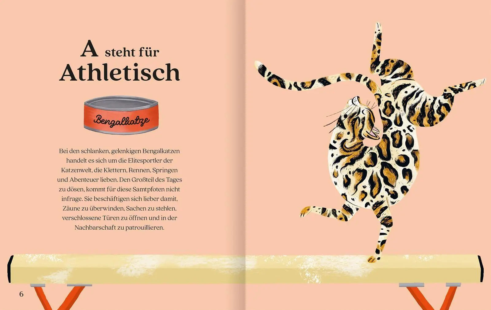 Bild: 9783845869834 | Katzenalphabet | Buch | 64 S. | Deutsch | 2026 | arsEdition GmbH