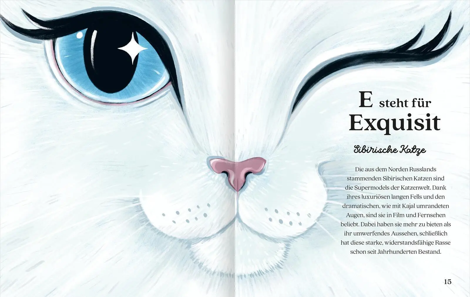 Bild: 9783845869834 | Katzenalphabet | Buch | 64 S. | Deutsch | 2026 | arsEdition GmbH