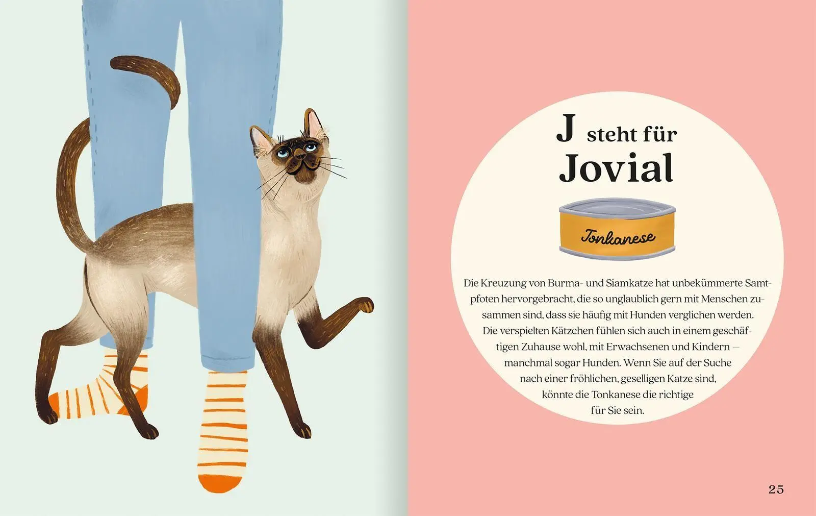 Bild: 9783845869834 | Katzenalphabet | Buch | 64 S. | Deutsch | 2026 | arsEdition GmbH