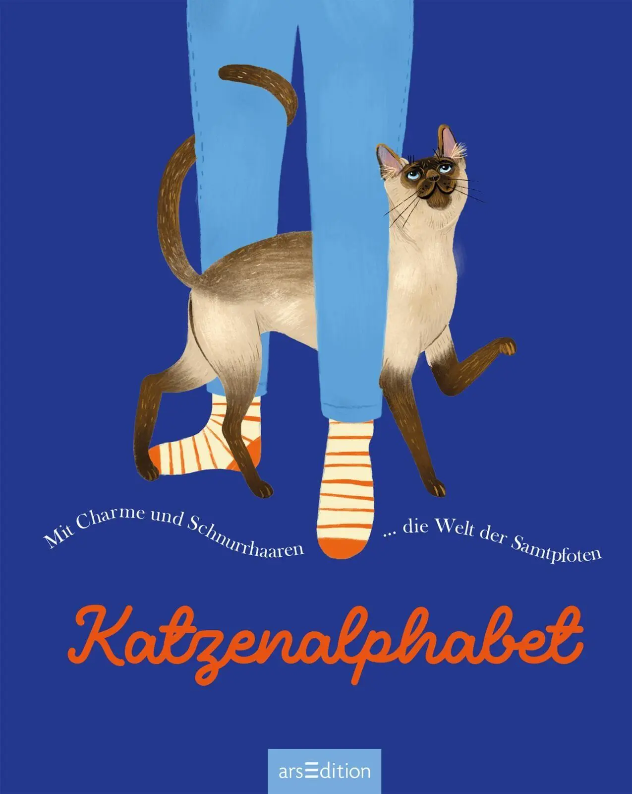Bild: 9783845869834 | Katzenalphabet | Buch | 64 S. | Deutsch | 2026 | arsEdition GmbH