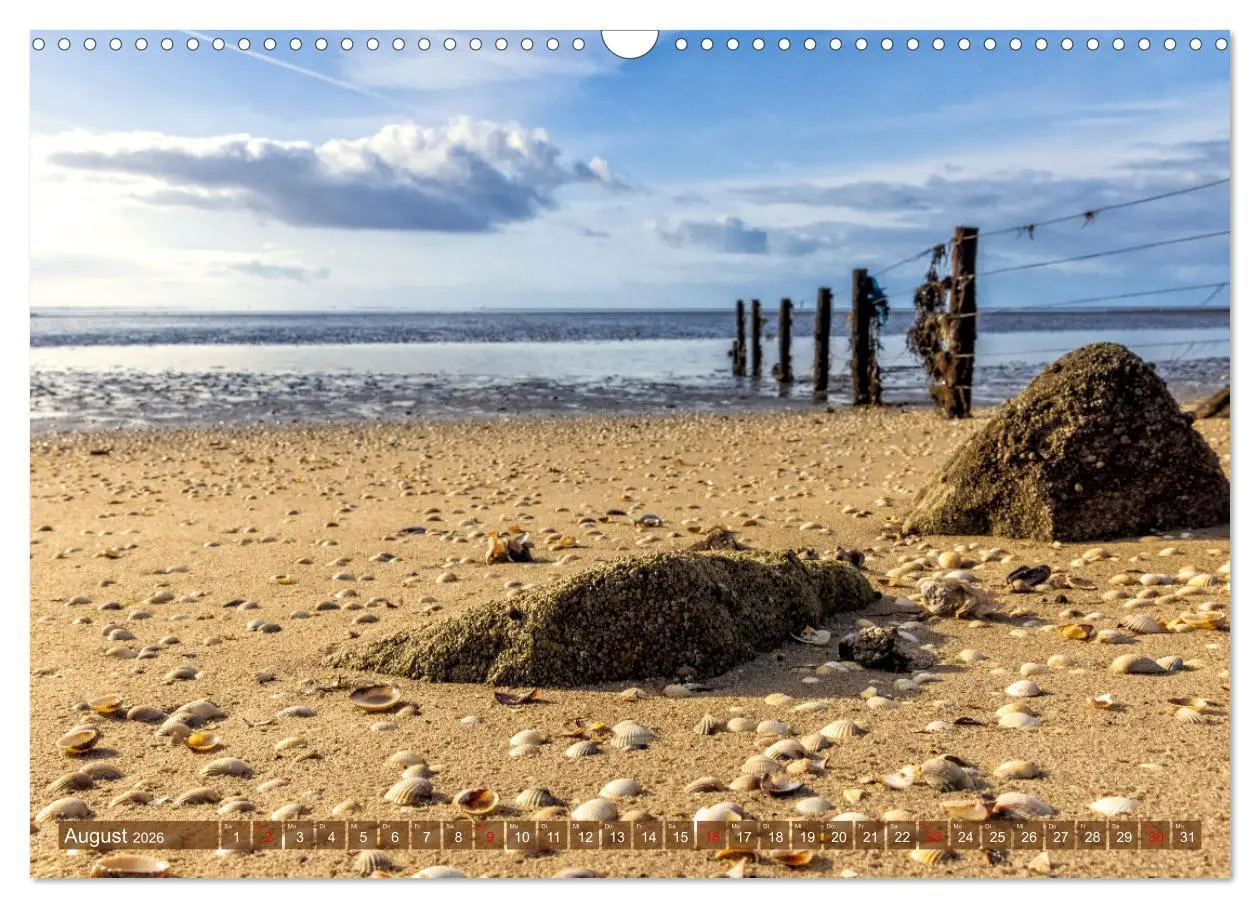 Bild: 9783457609934 | Pellworm - Das Inselparadies (Wandkalender 2026 DIN A3 quer),...