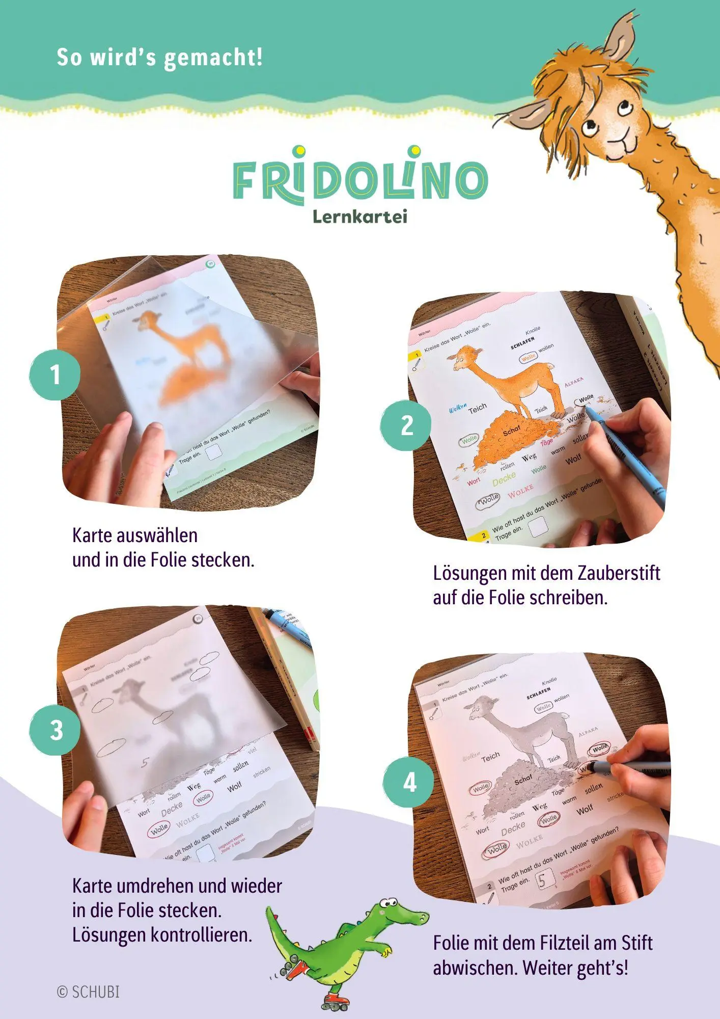 Bild: 9783072200035 | Fridolino-Lernkartei. Lesezeit 2. Schuljahr | Lehr-, Lern-, Bildkarten