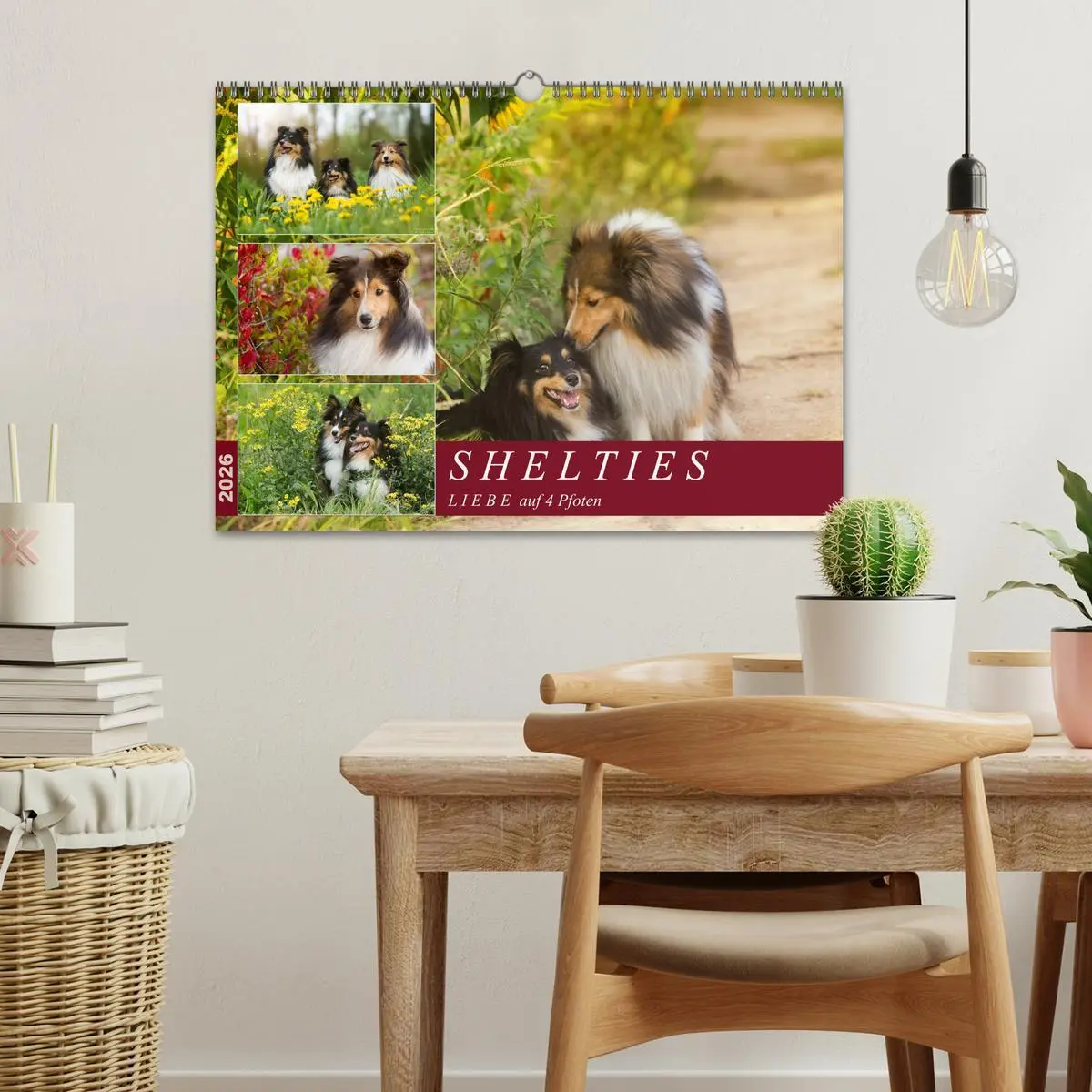 Bild: 9783457890035 | SHELTIES Liebe auf 4 Pfoten (Wandkalender 2026 DIN A3 quer),...