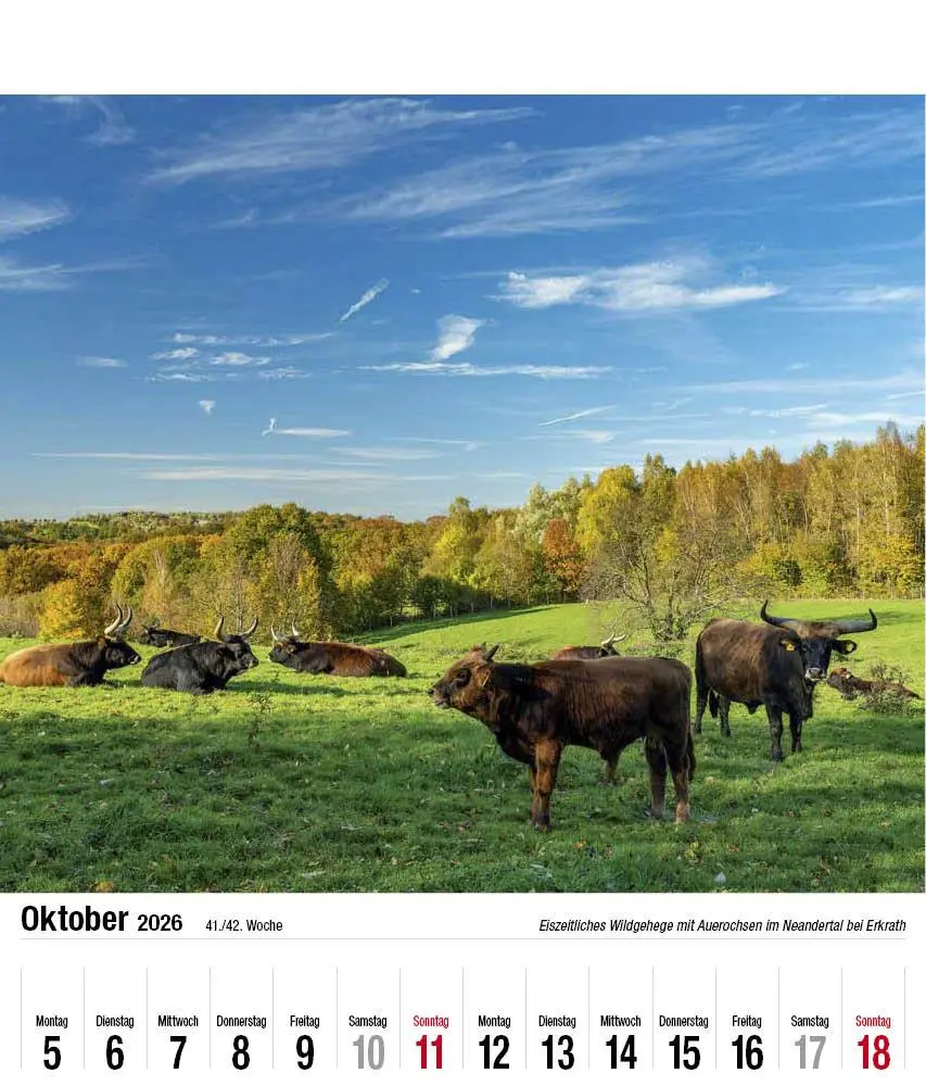 Bild: 9783910690035 | Schönes Bergisches Land 2026 | Holger Klaes | Kalender | 28 S. | 2026 Bild: 9783910690035 | Schönes Bergisches Land 2026 | Holger Klaes | Kalender | 28 S. | 2026