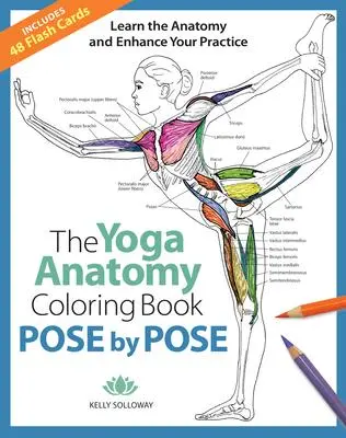 Cover: 9781684620135 | The Yoga Anatomy Coloring Book: Pose by Pose | Kelly Solloway | Buch