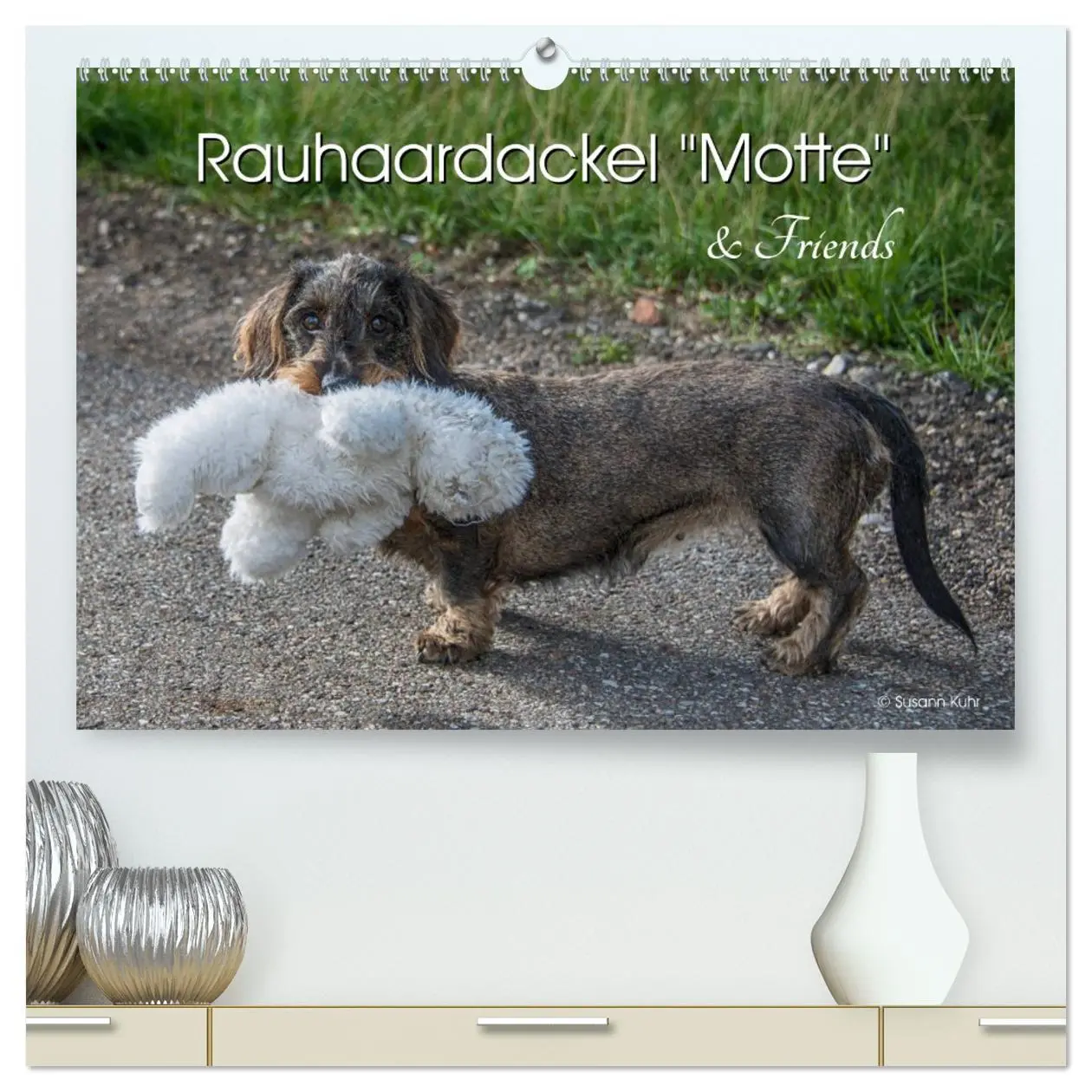 Cover: 9783457710135 | Rauhaardackel Motte &amp; Friends (hochwertiger Premium Wandkalender...