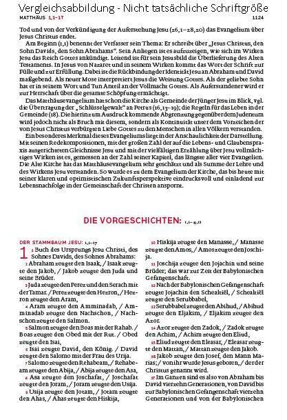 Bild: 9783460440135 | Die Bibel. Mit Sonderseiten für junge Menschen. | Agnes Wuckelt | Buch