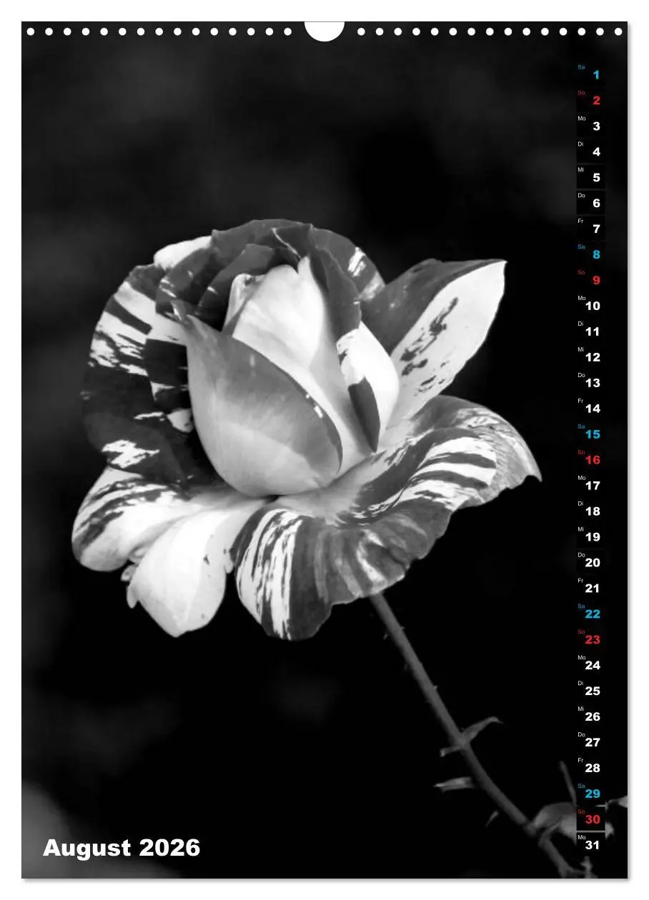Bild: 9783516420135 | Blumige Graustufen - Schwarz und Weiß (Wandkalender 2026 DIN A3...
