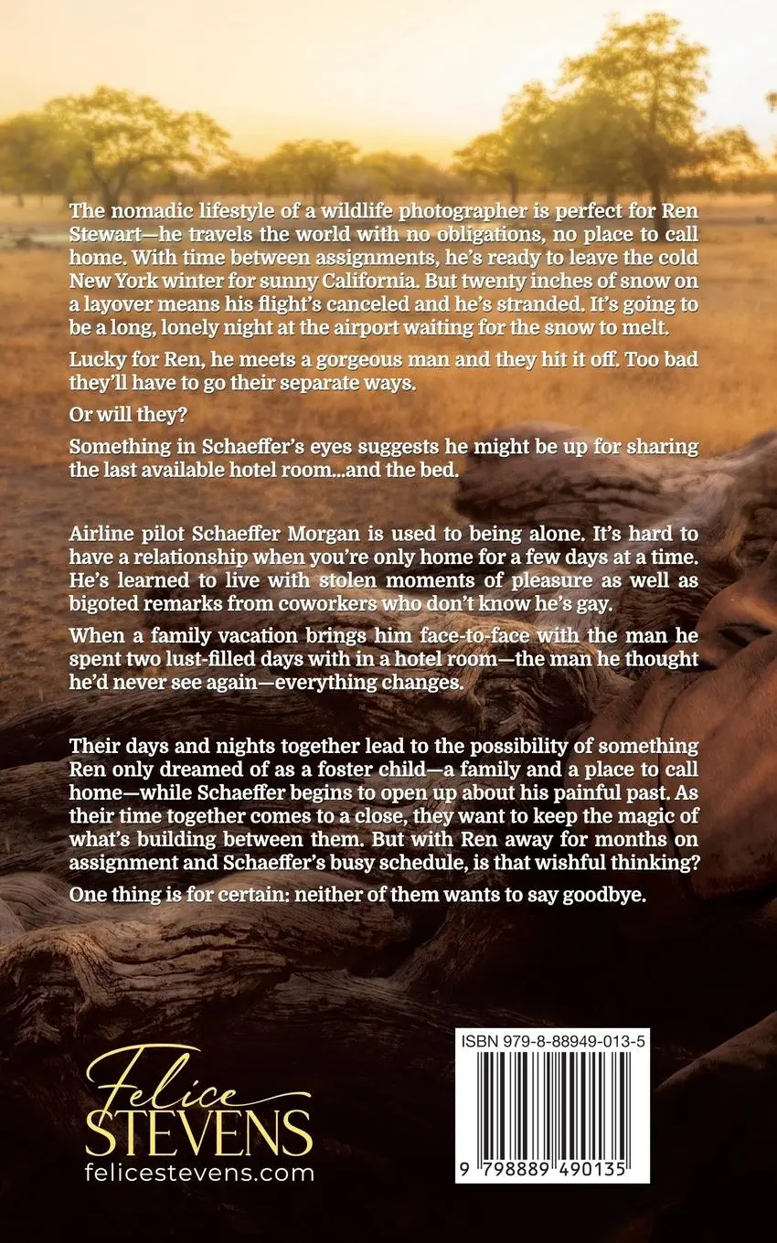 Rückseite: 9798889490135 | Never Say Goodbye | Felice Stevens | Taschenbuch | Englisch | 2024