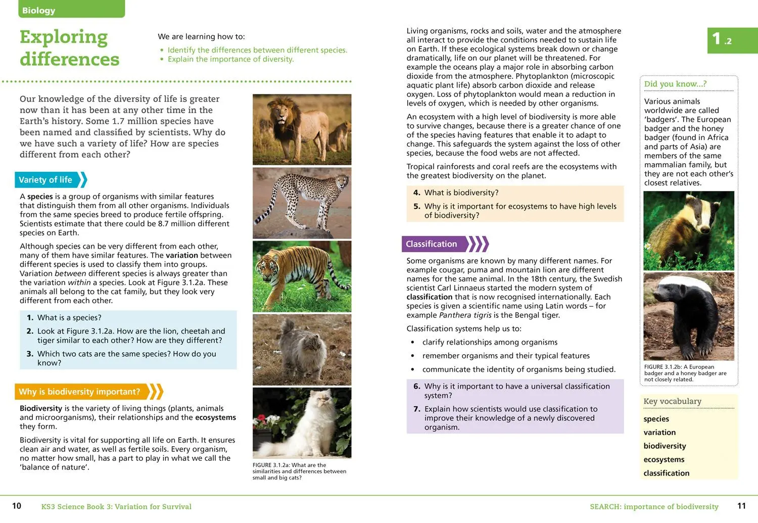 Bild: 9780007540235 | Student Book 3 | Anne Pilling (u. a.) | Taschenbuch | Englisch | 2014