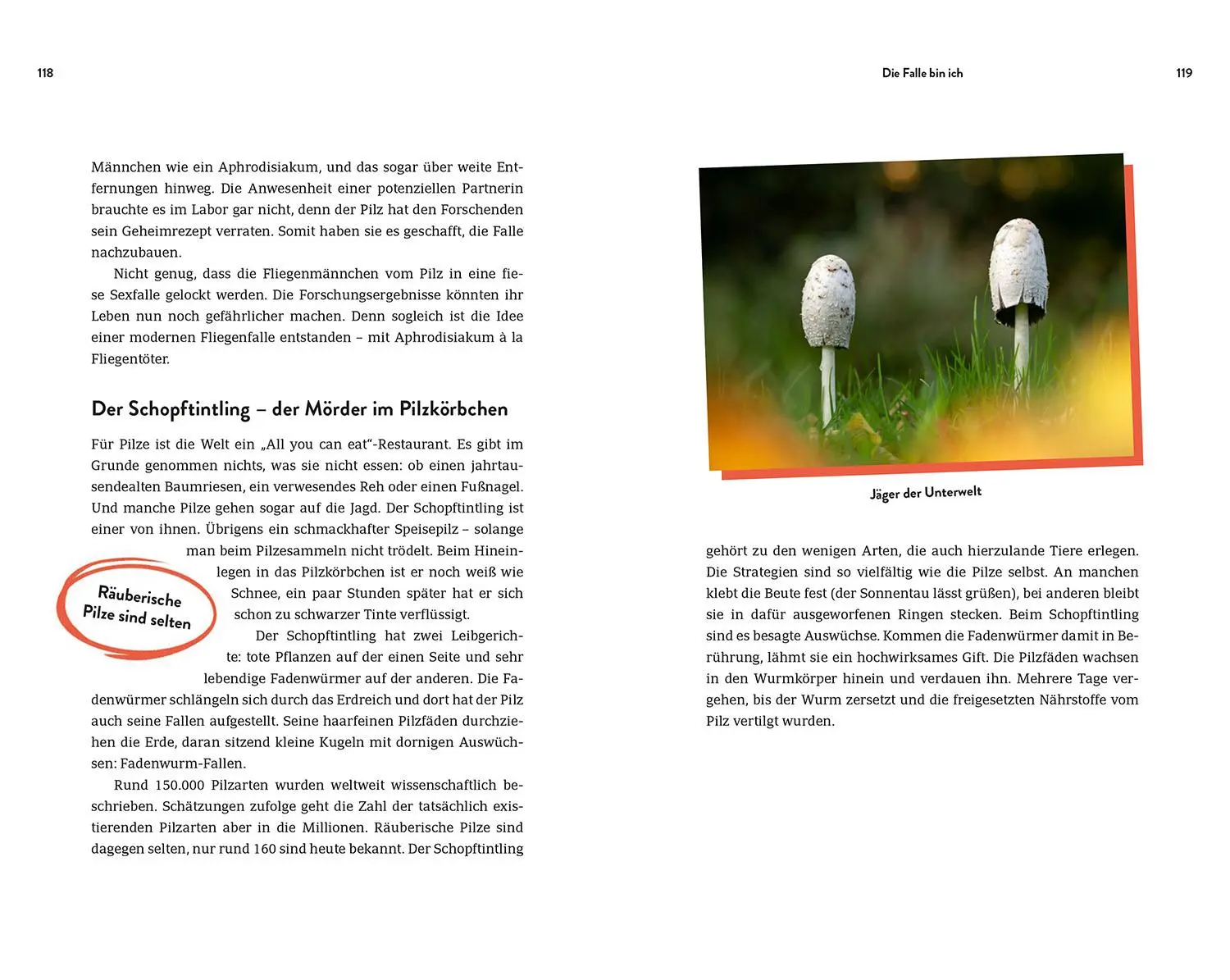 Bild: 9783440180235 | True Crime in Nature | Farina Graßmann | Taschenbuch | 192 S. | 2025