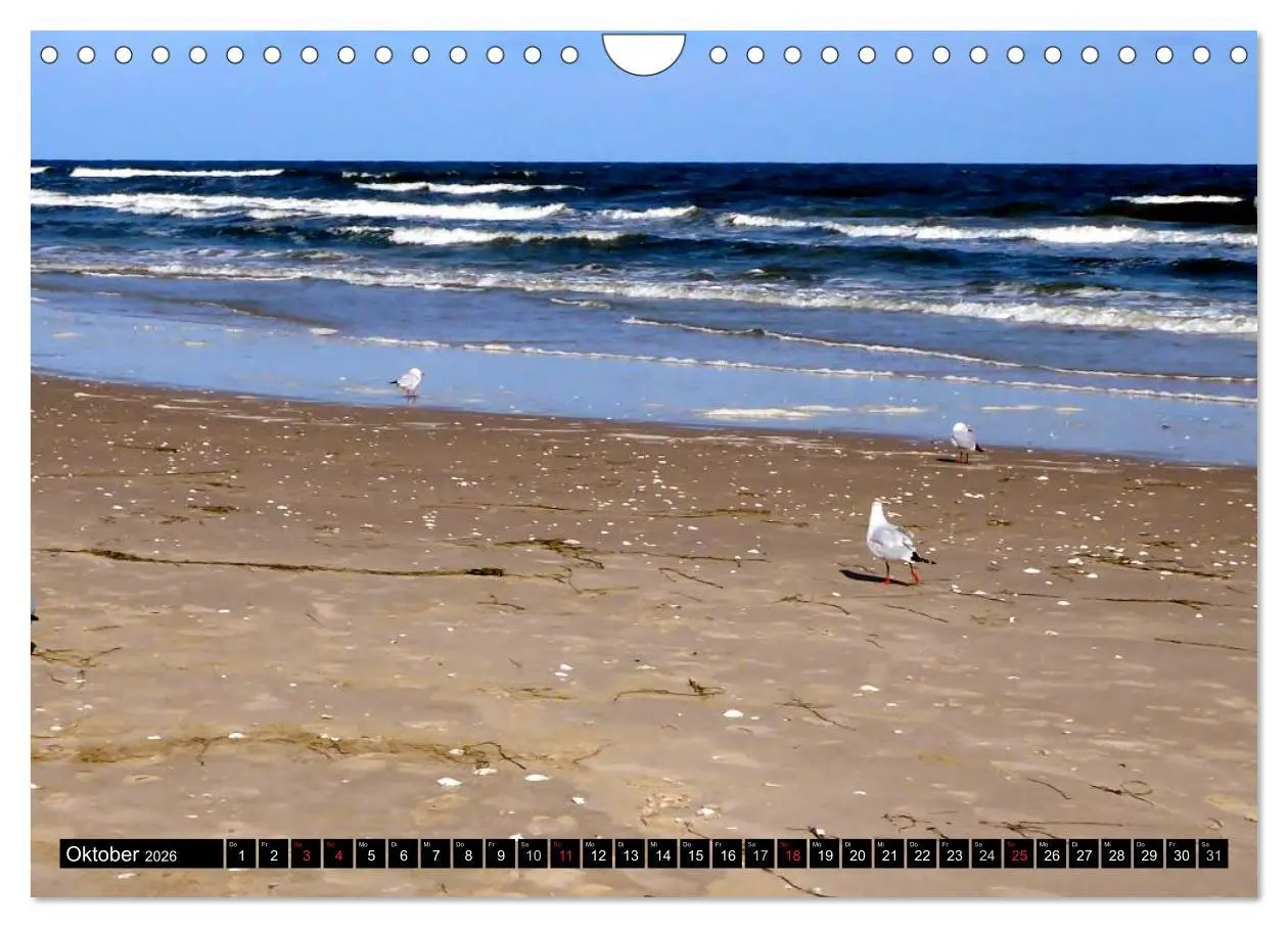 Bild: 9783516100235 | USEDOM - Seebäder und Naturparadies (Wandkalender 2026 DIN A4...