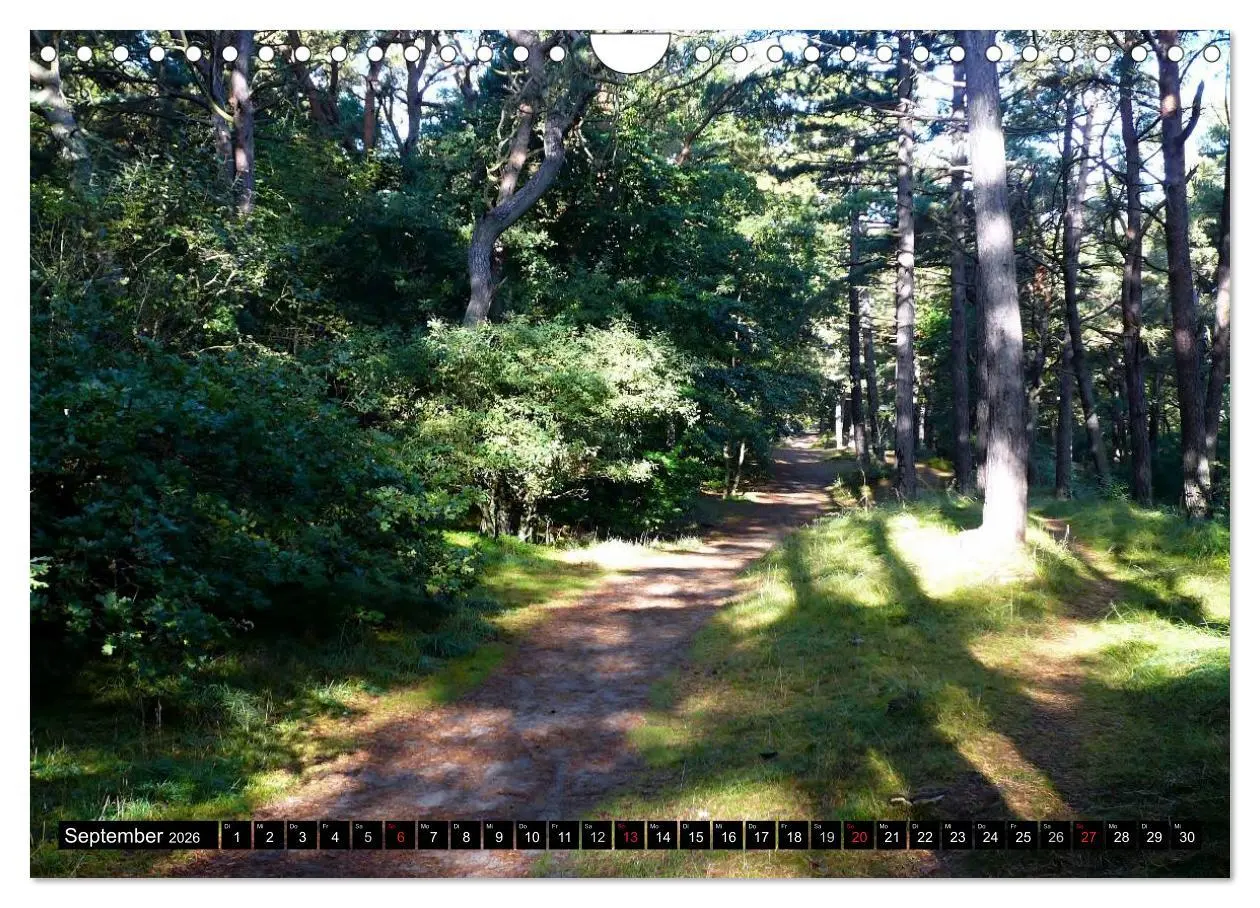 Bild: 9783516100235 | USEDOM - Seebäder und Naturparadies (Wandkalender 2026 DIN A4...