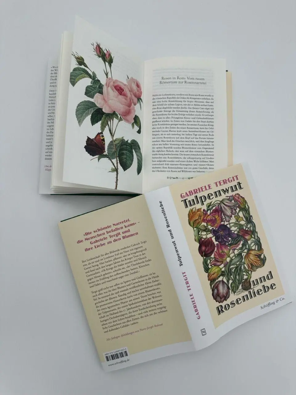 Bild: 9783690970235 | Tulpenwut und Rosenliebe | Kleine Kulturgeschichte der Blumen | Tergit