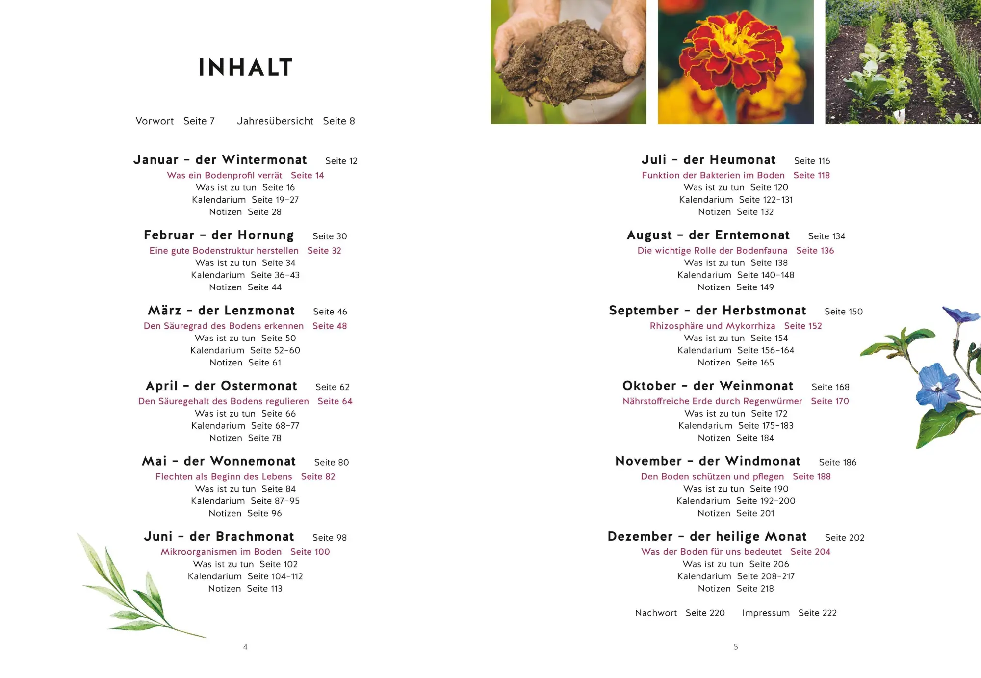 Bild: 9783758900235 | Mein Gartenkalender 2027 | Wolf-Dieter Storl | Buch | 224 S. | Deutsch