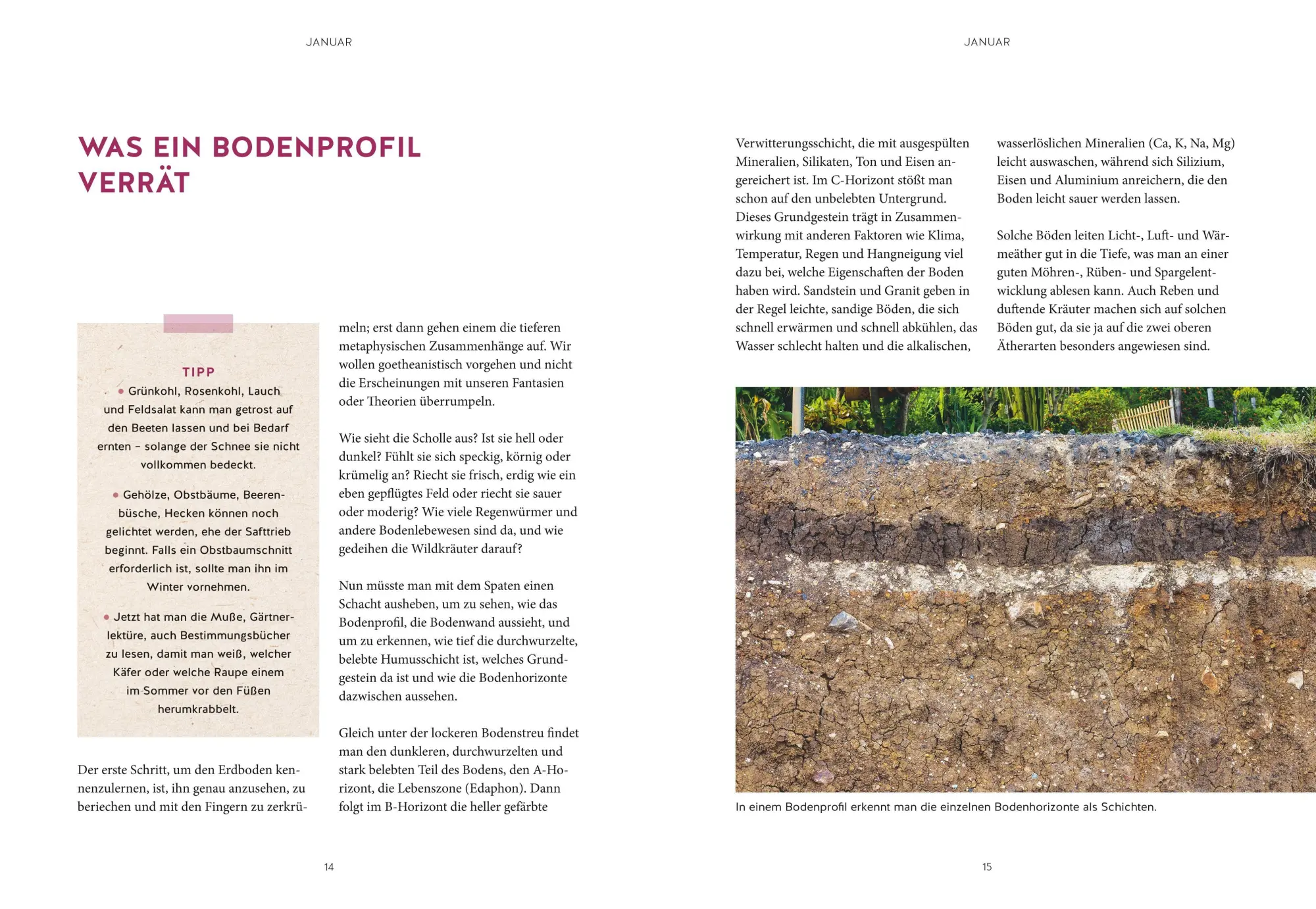 Bild: 9783758900235 | Mein Gartenkalender 2027 | Wolf-Dieter Storl | Buch | 224 S. | Deutsch