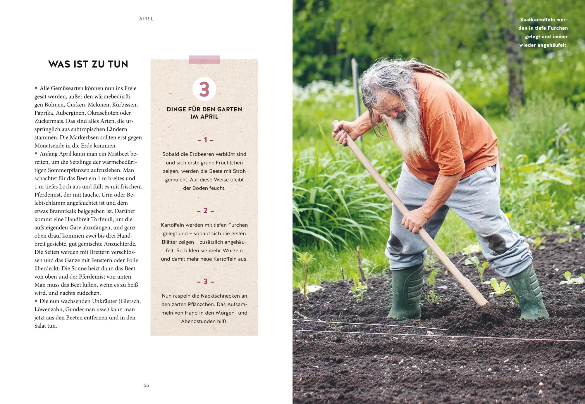 Bild: 9783758900235 | Mein Gartenkalender 2027 | Wolf-Dieter Storl | Buch | 224 S. | Deutsch