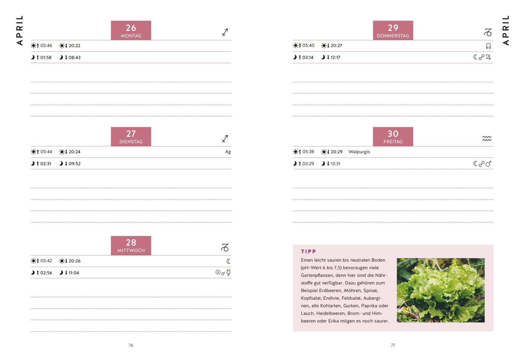 Bild: 9783758900235 | Mein Gartenkalender 2027 | Wolf-Dieter Storl | Buch | 224 S. | Deutsch