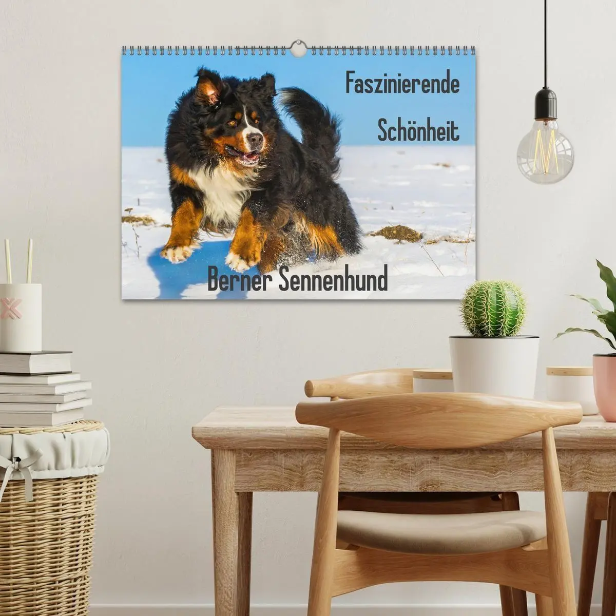 Bild: 9783569800335 | Faszinierende Schönheit Berner Sennenhund (Wandkalender 2027 DIN A3...