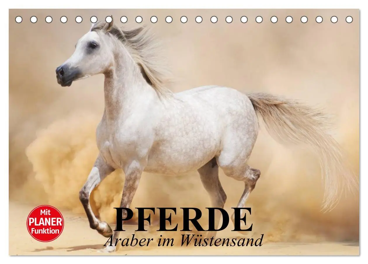 Cover: 9783516010435 | Pferde. Araber im Wüstensand (Tischkalender 2026 DIN A5 quer),...