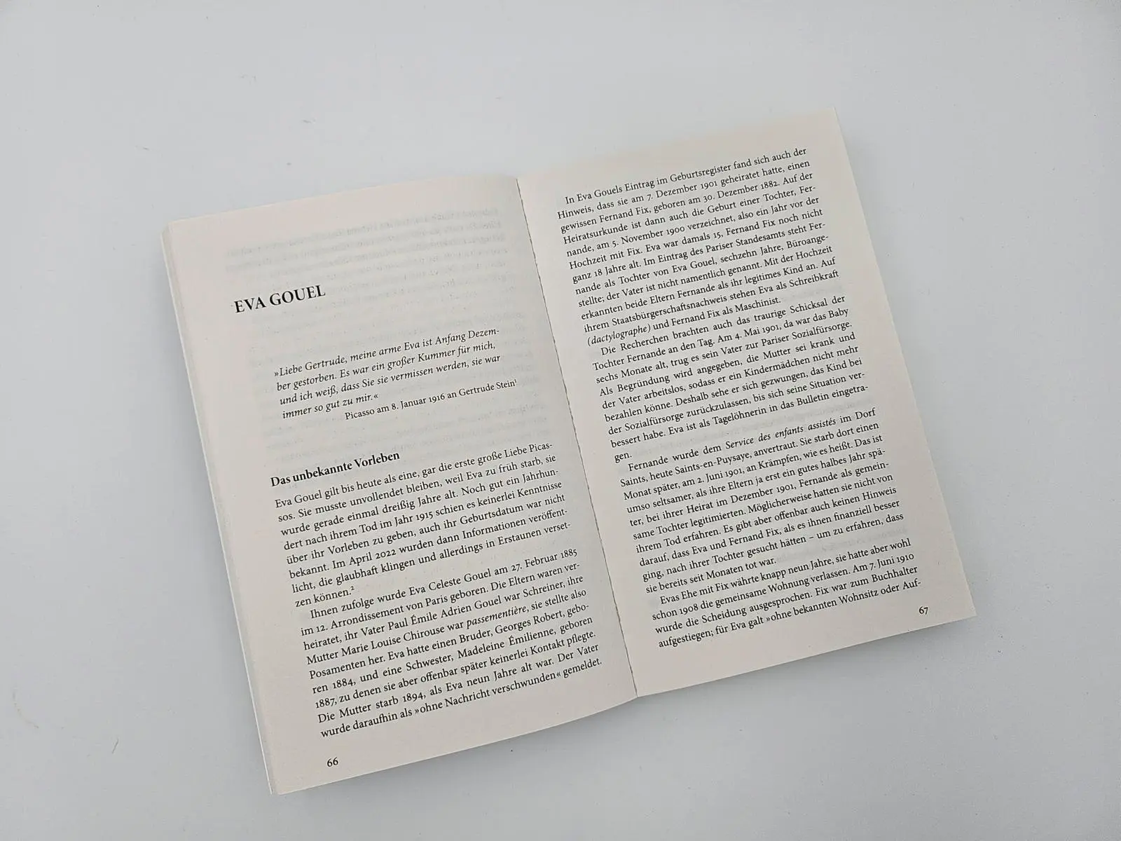 Bild: 9783492320535 | 'Göttinnen und Fußabstreifer' | Rose-Maria Gropp | Taschenbuch | 2024