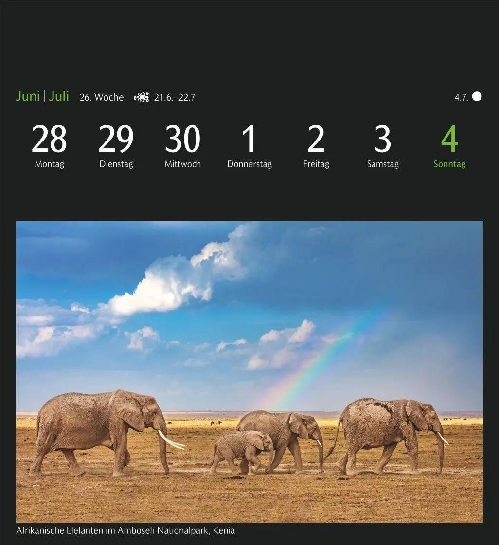 Bild: 9783840040535 | GEO Ferne Horizonte Postkartenkalender 2027 - Wochenkalender mit 53...