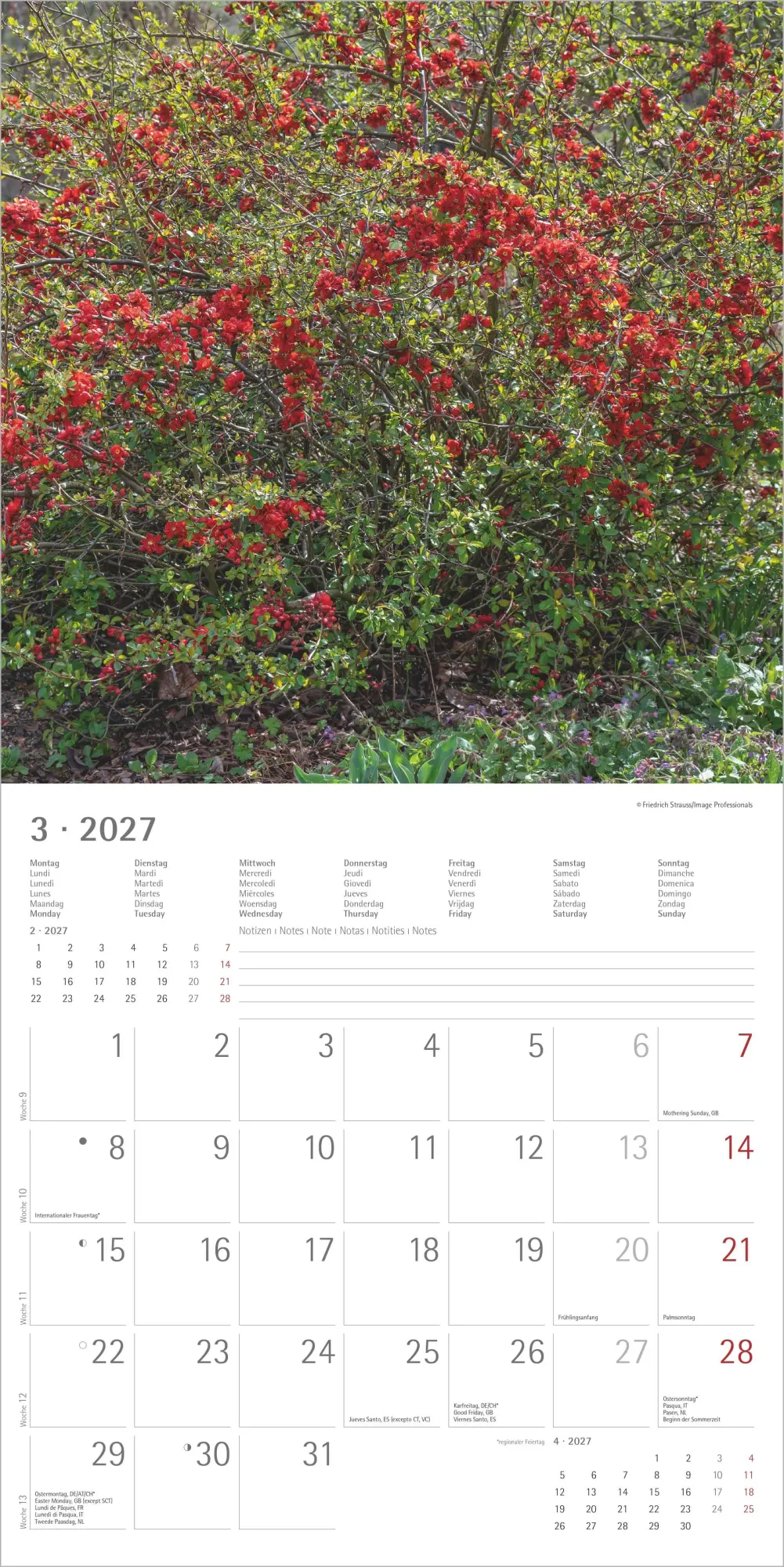 Bild: 4069095010635 | Gartenzauber 2027 | Neumann Verlage GmbH &amp; Co KG | Kalender | 14 S.