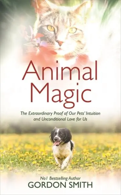 Cover: 9781788170635 | Animal Magic | Gordon Smith | Taschenbuch | Englisch | 2018