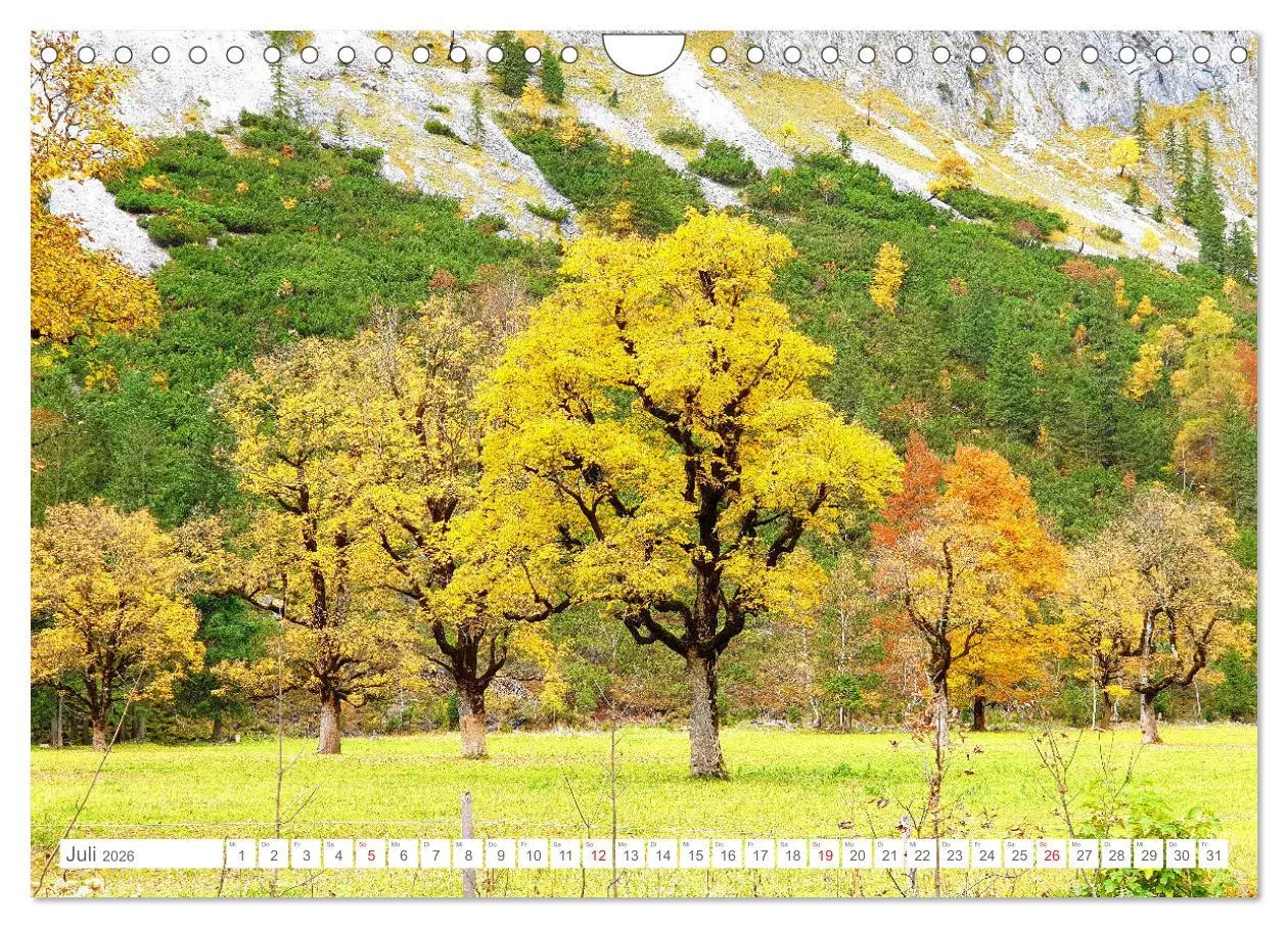 Bild: 9783457690635 | Indian Summer in der Eng - Das Naturdenkmal Großer Ahornboden...