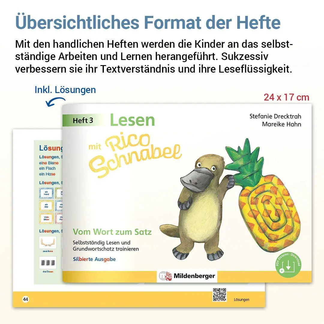 Bild: 9783619120635 | Lesen mit Rico Schnabel, Heft 3: Vom Wort zum Satz - silbierte Ausgabe