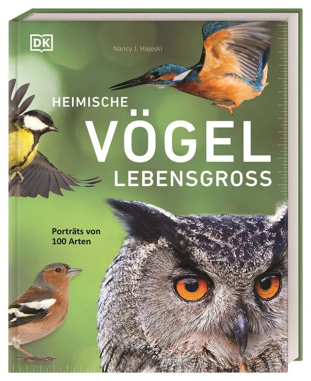 Cover: 9783831050635 | Heimische Vögel lebensgroß | Nancy J. Hajeski | Buch | 224 S. | 2026