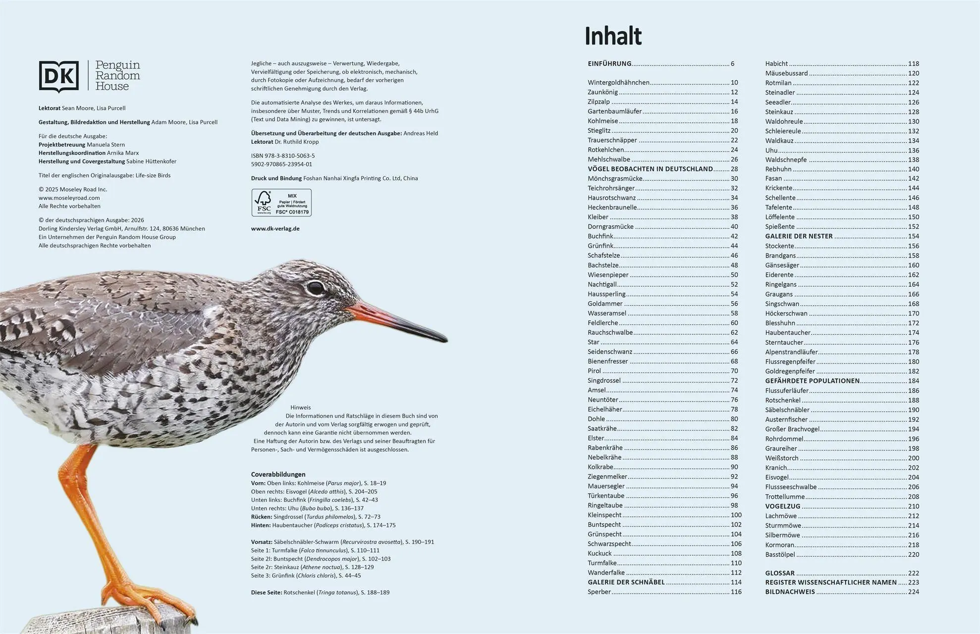 Bild: 9783831050635 | Heimische Vögel lebensgroß | Nancy J. Hajeski | Buch | 224 S. | 2026