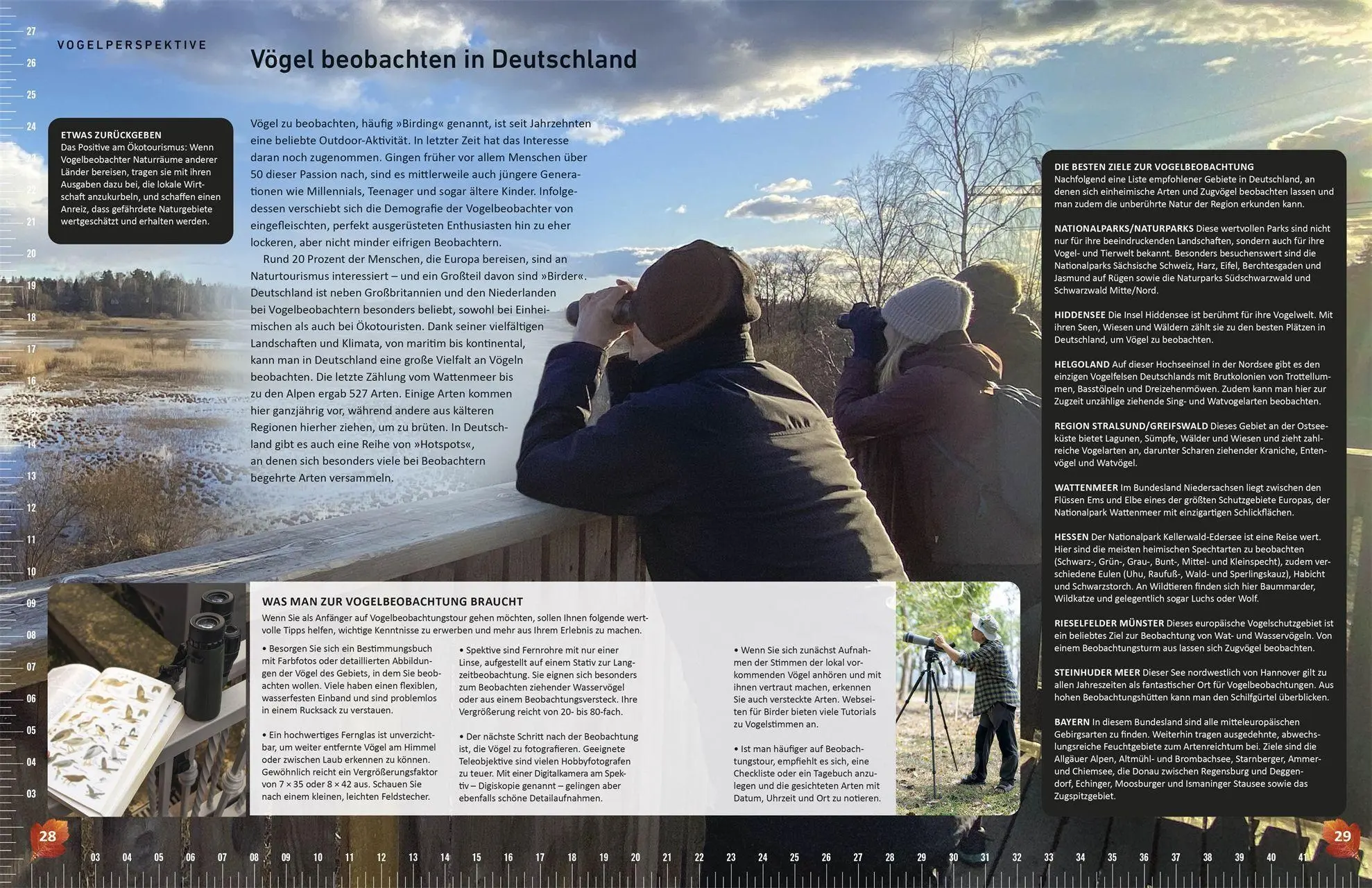 Bild: 9783831050635 | Heimische Vögel lebensgroß | Nancy J. Hajeski | Buch | 224 S. | 2026