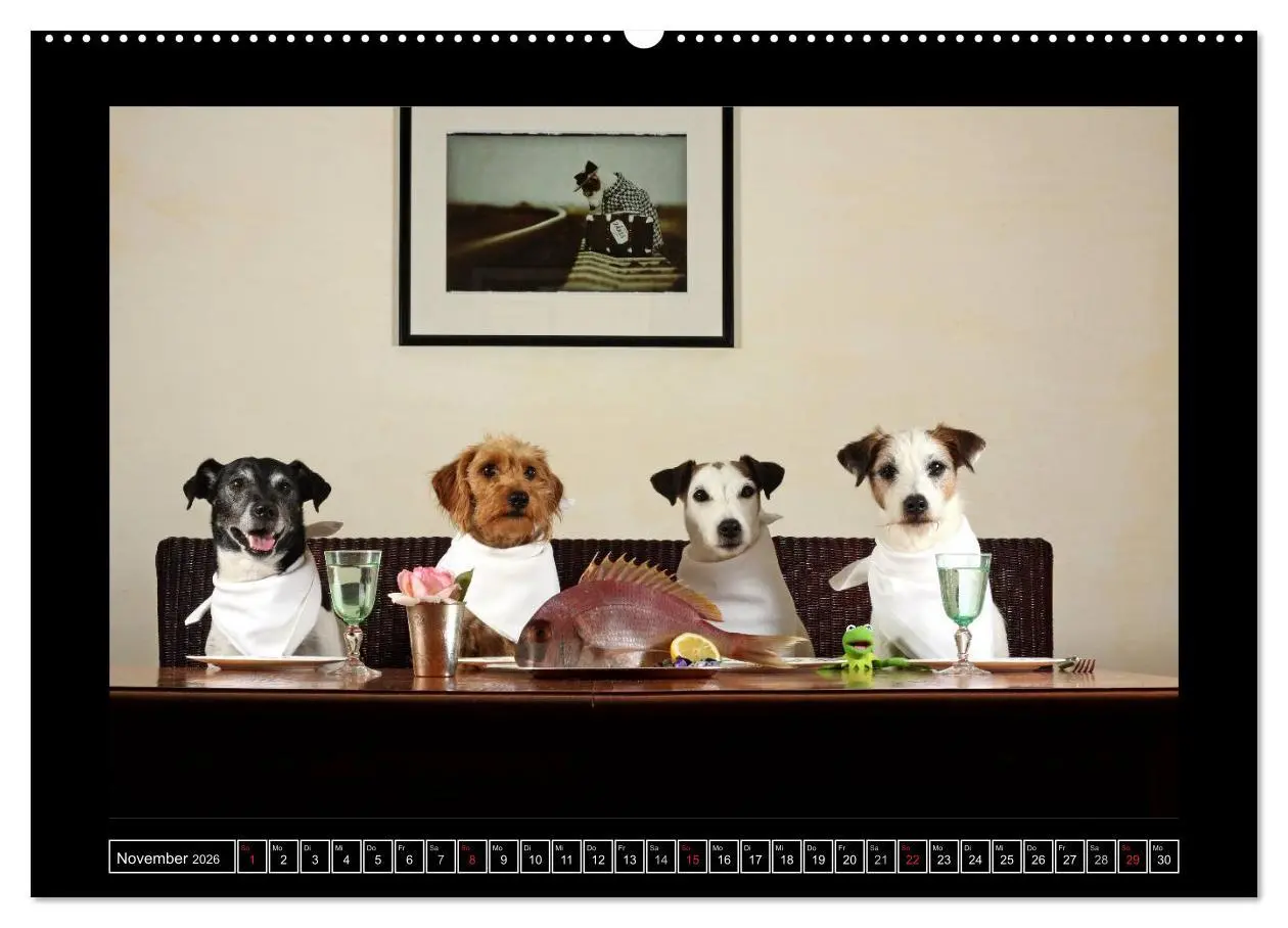 Bild: 9783516150735 | Parson Russell Terrier (Wandkalender 2026 DIN A2 quer), CALVENDO...