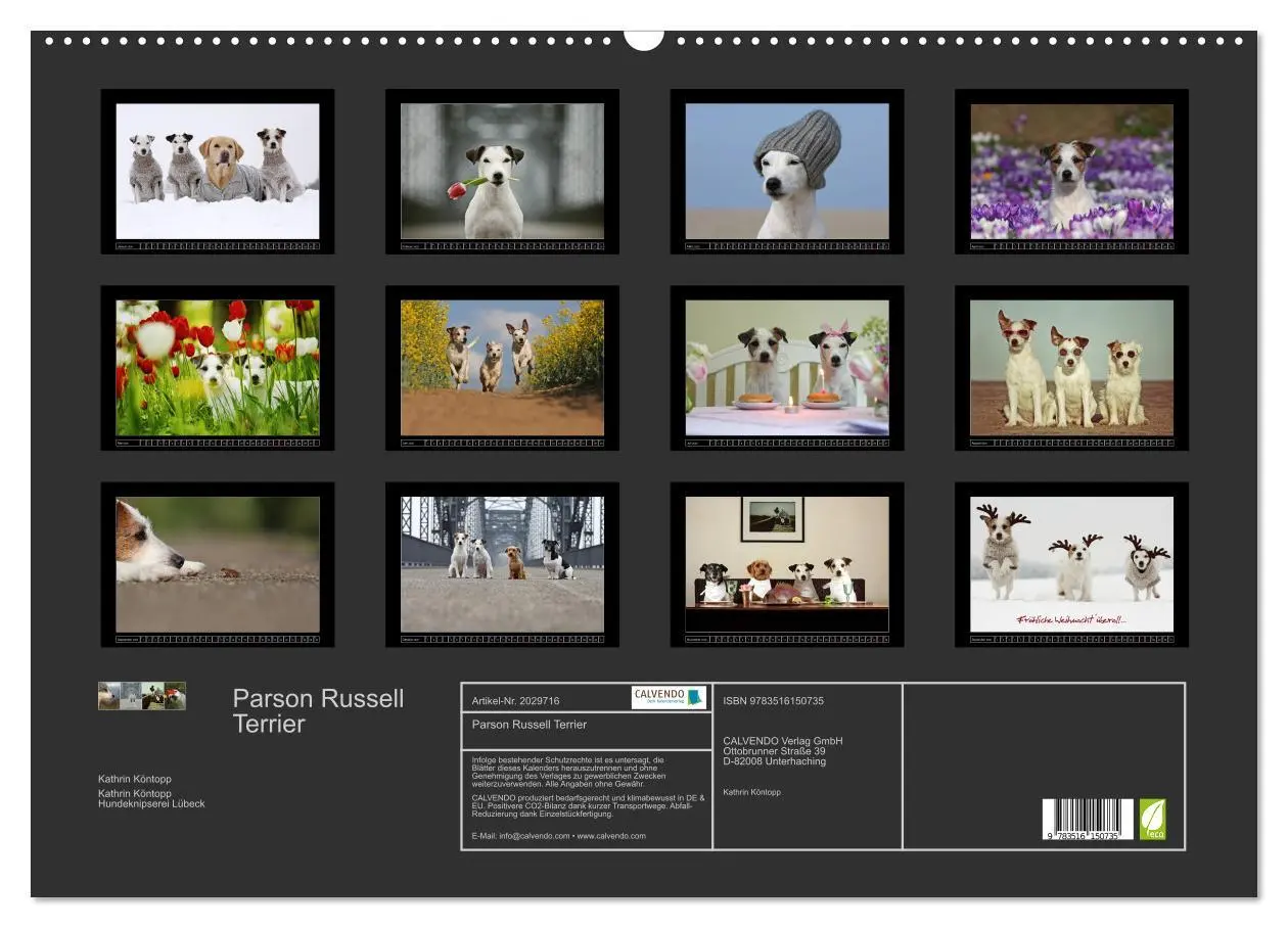 Bild: 9783516150735 | Parson Russell Terrier (Wandkalender 2026 DIN A2 quer), CALVENDO...
