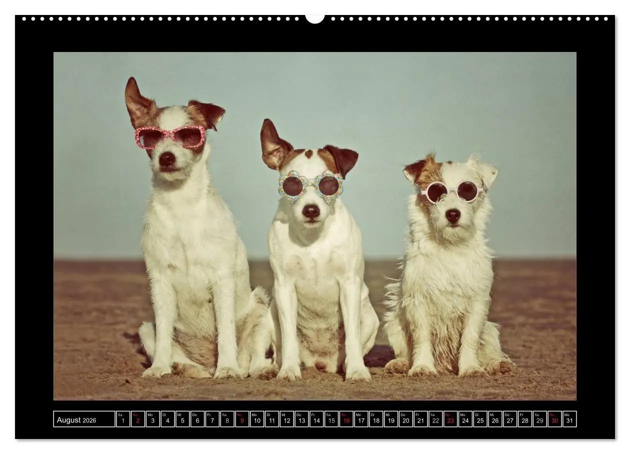 Bild: 9783516150735 | Parson Russell Terrier (Wandkalender 2026 DIN A2 quer), CALVENDO...
