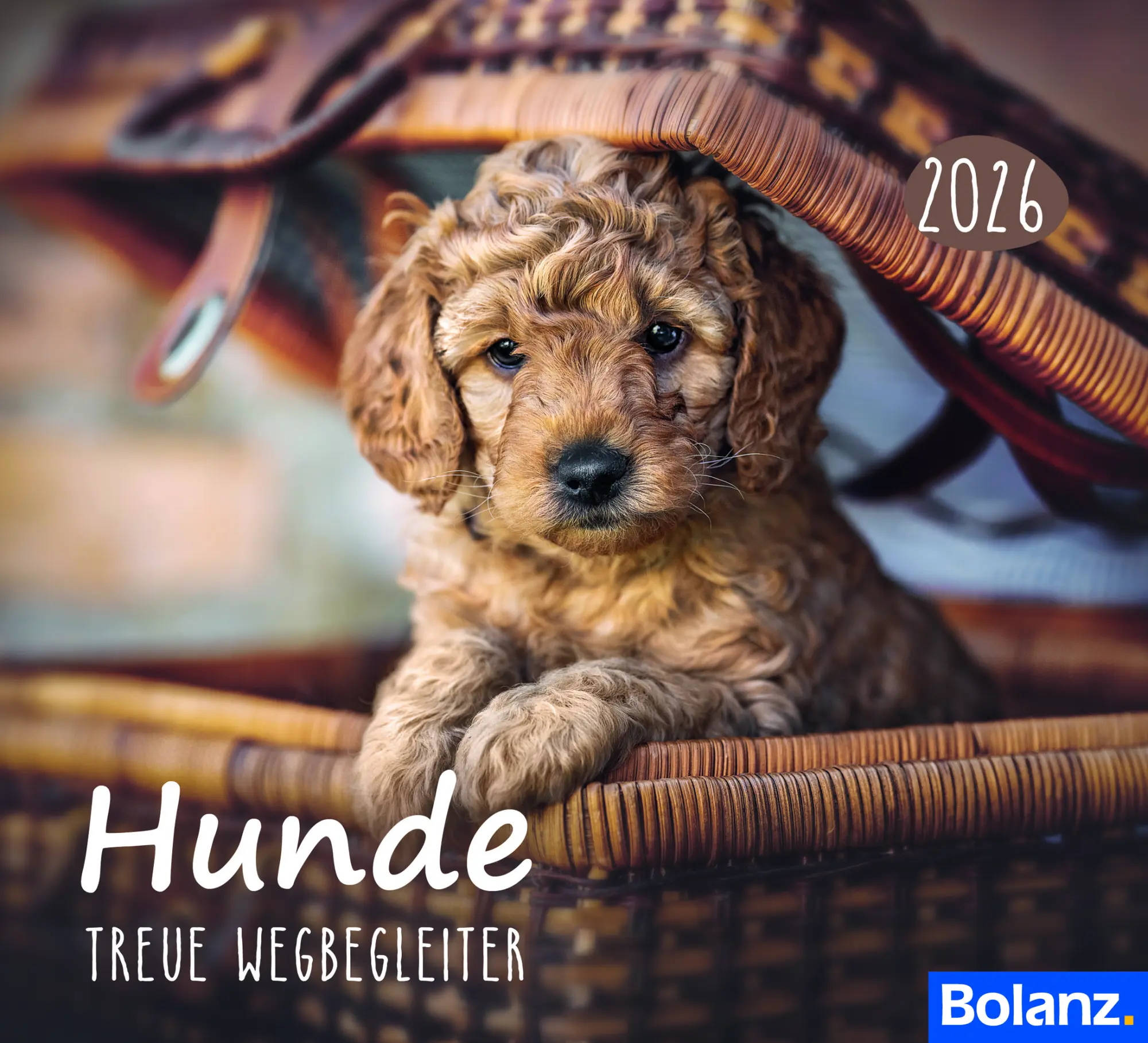 Cover: 9783690220835 | Hunde 2026 (Minikalender) | Treue Wegbegleiter | Sonstiges | Deutsch
