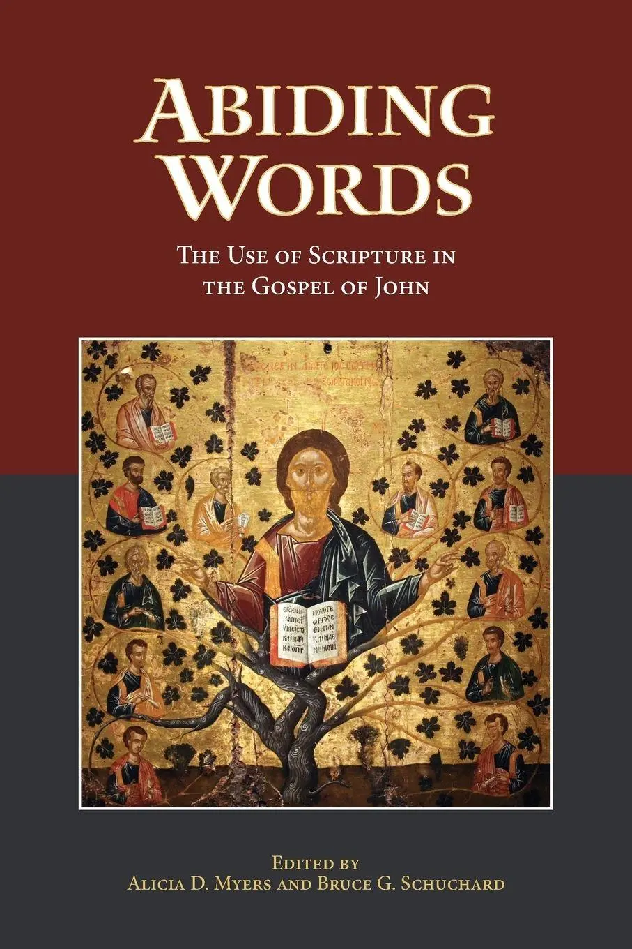 Cover: 9781628370935 | Abiding Words | The Use of Scripture in the Gospel of John | Buch