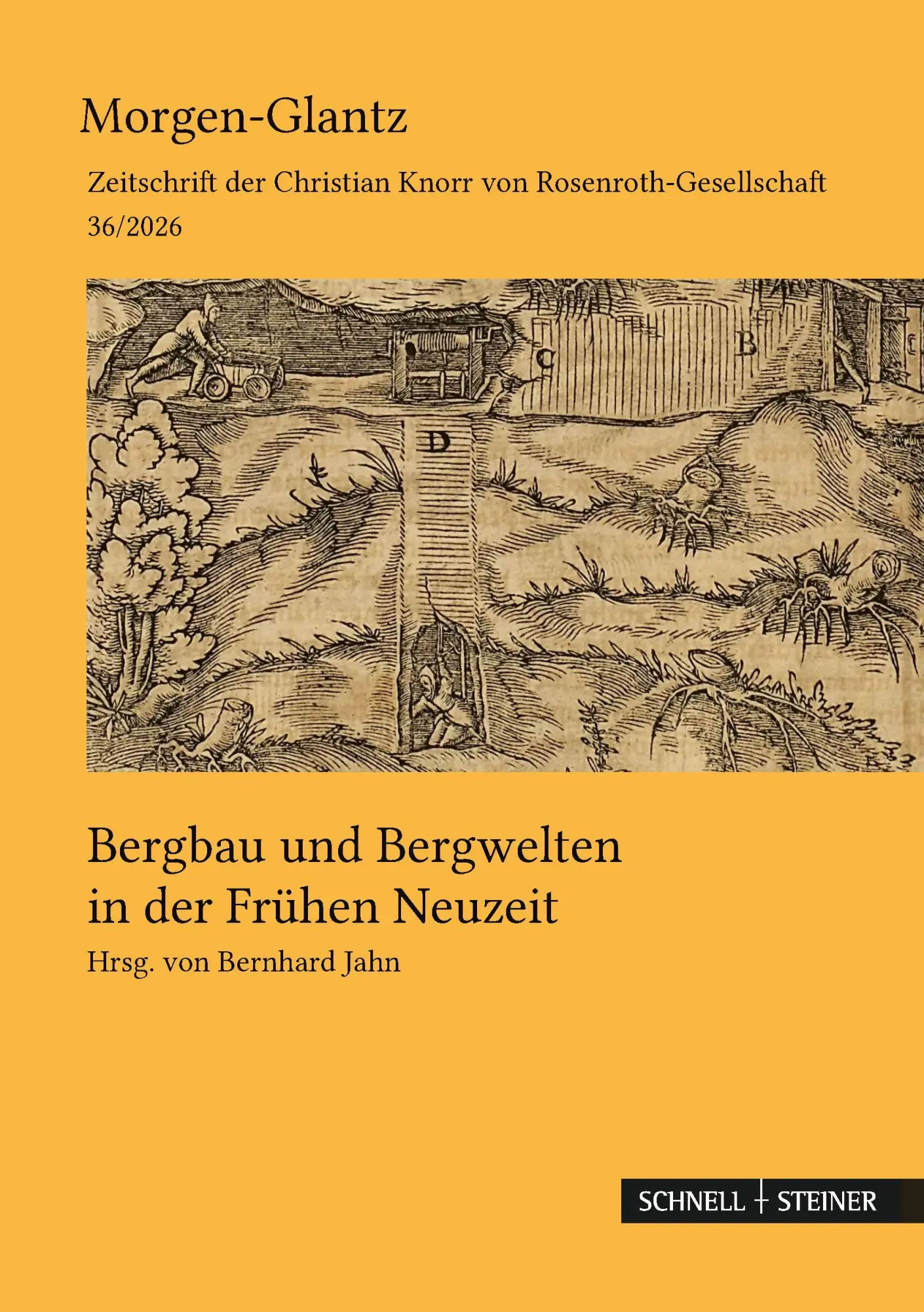 Cover: 9783795490935 | Bergbau und Bergwelten in der Frühen Neuzeit | Bernhard Jahn (u. a.)