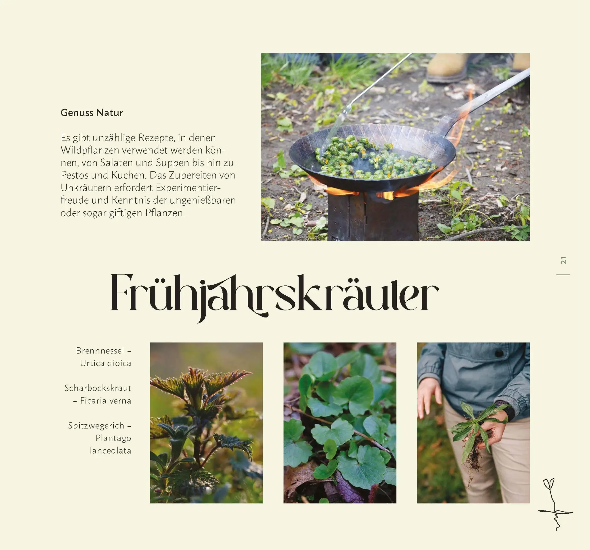 Bild: 9783955870935 | Faszination Wildkräuter | Faszination Wildkräuter | Cornelia Müller